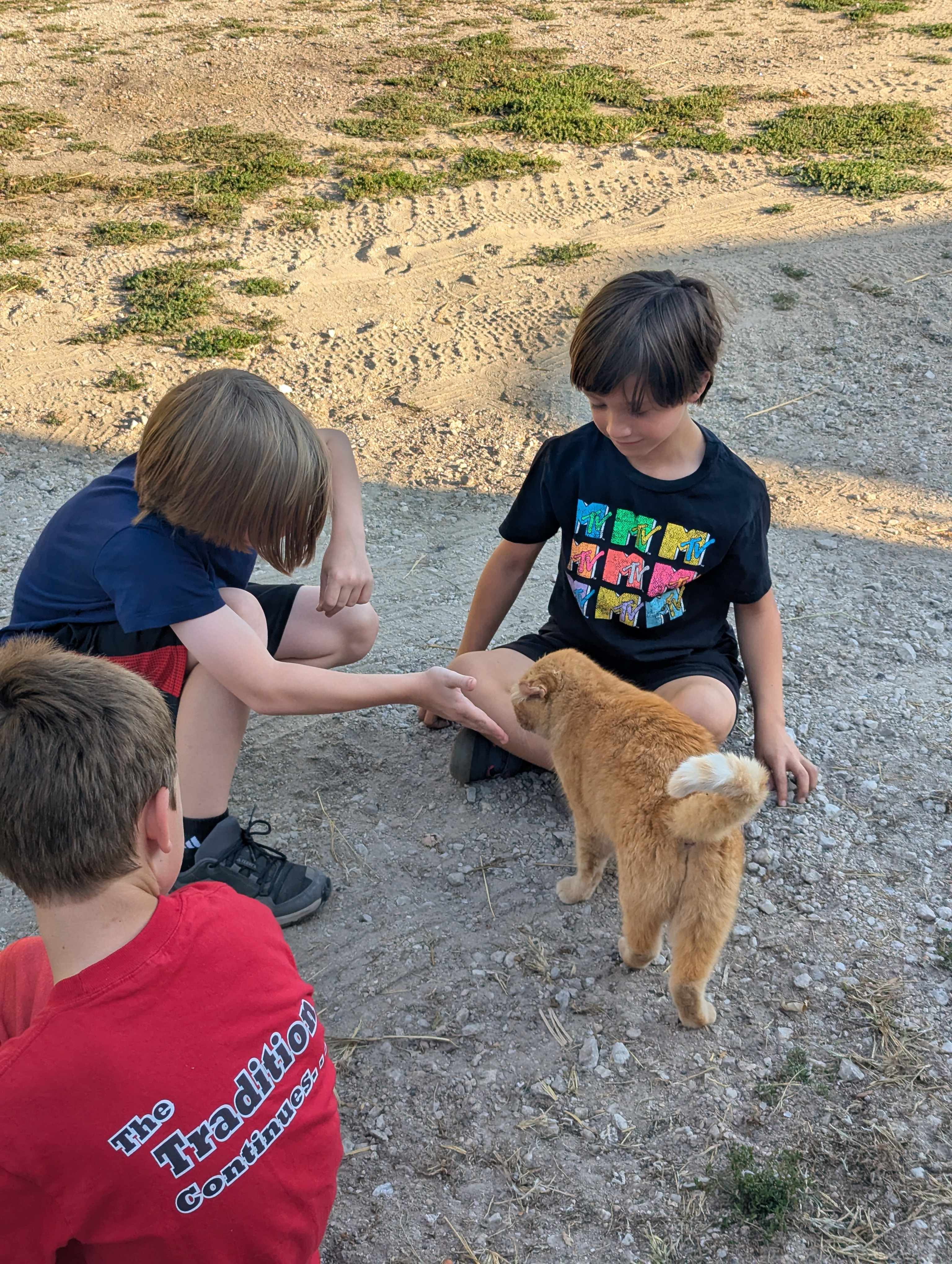 Welcome to our Magical Woods