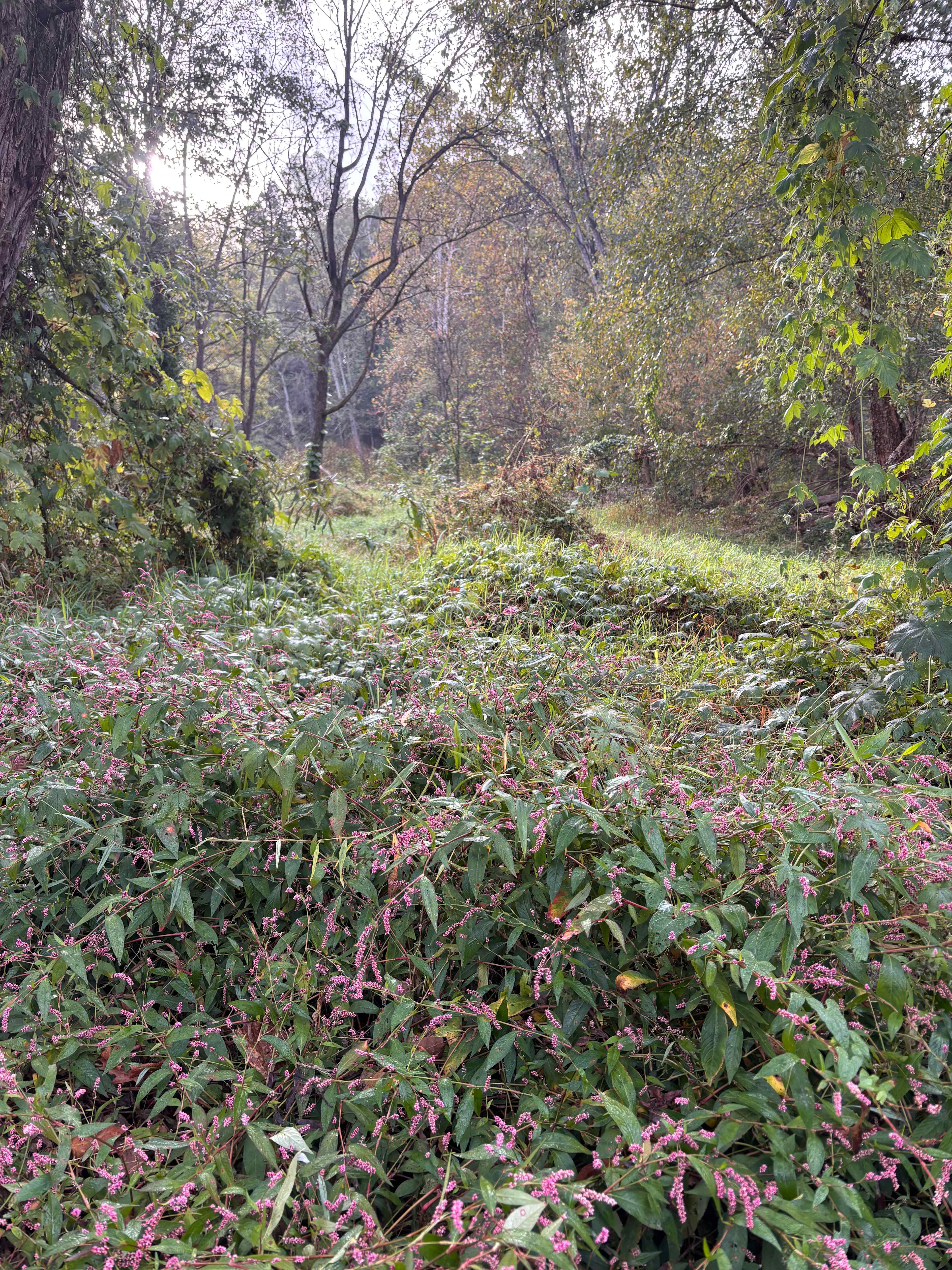 Private Paradise on Rivers Bend