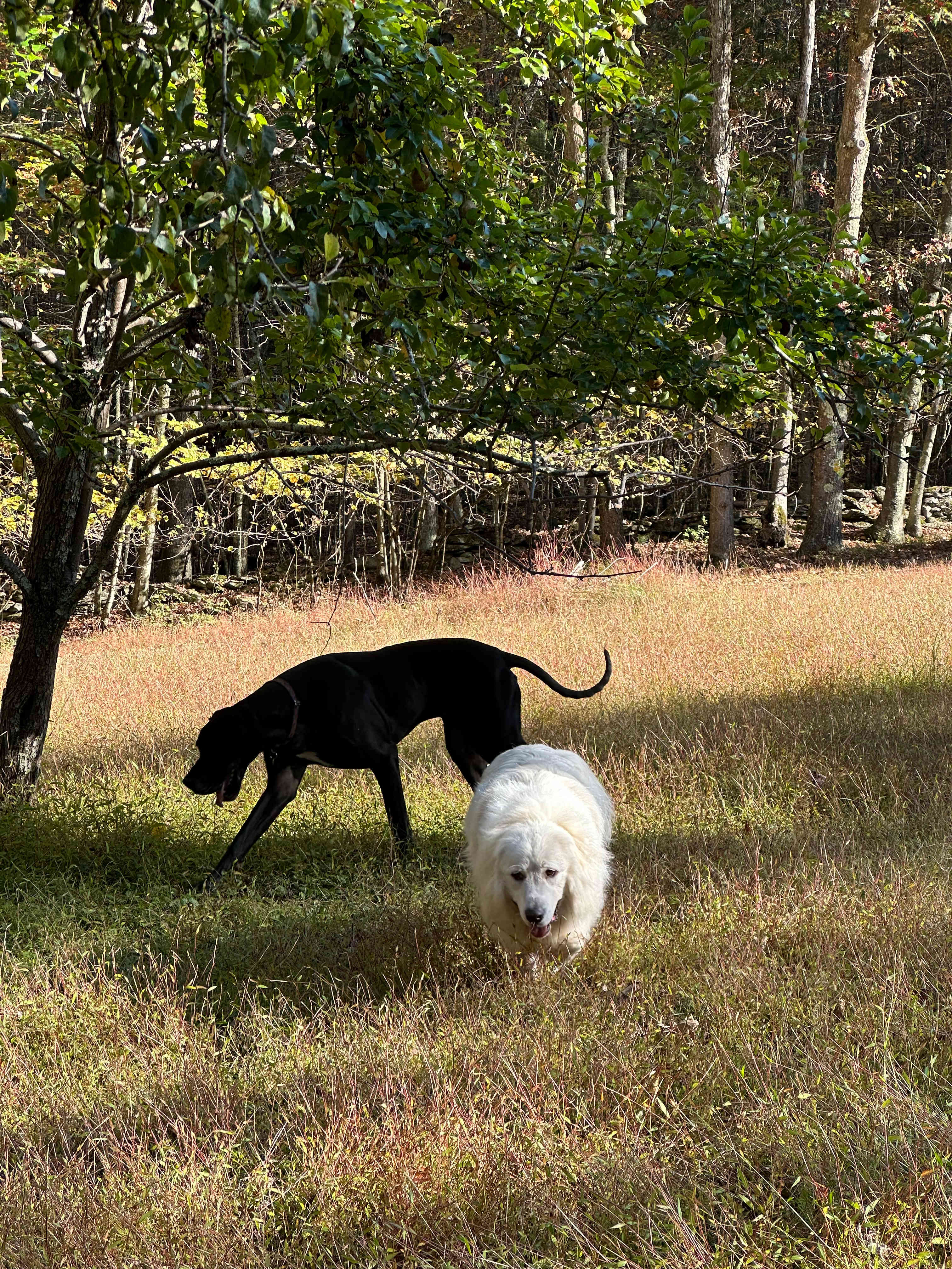 River View RV Private Site