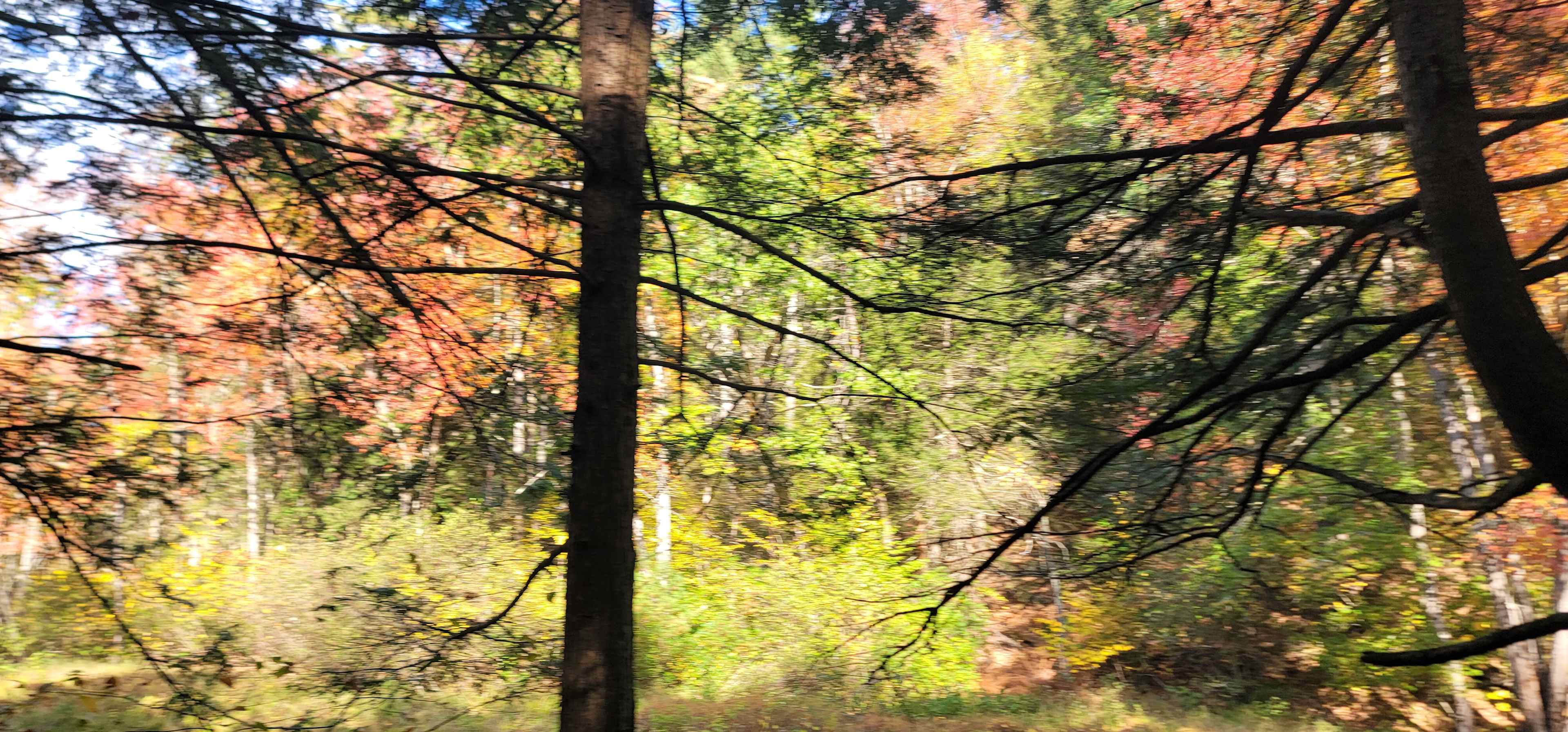 early Autumn is my favorite part of New England 