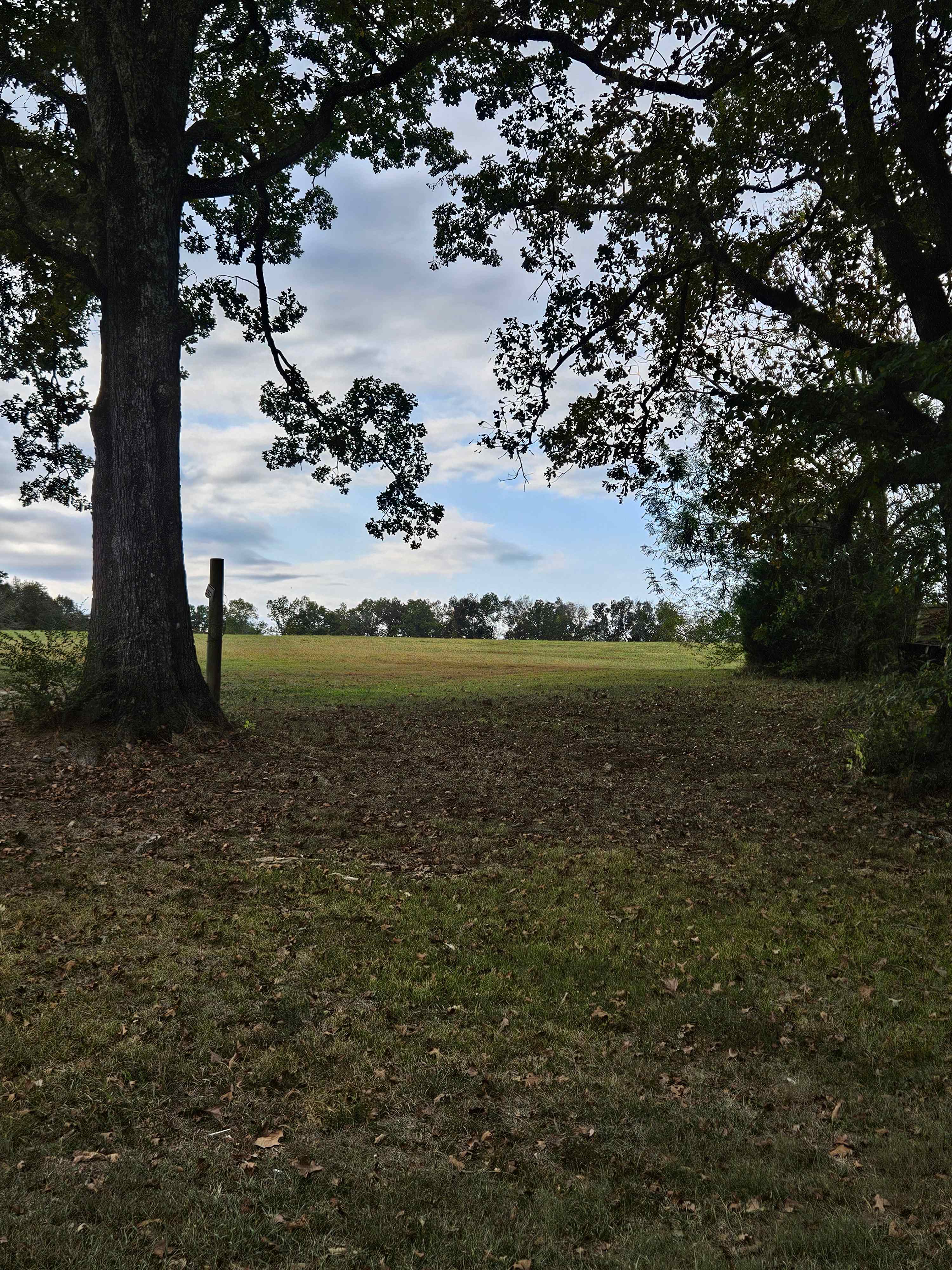 Looking from campsite to hayfield