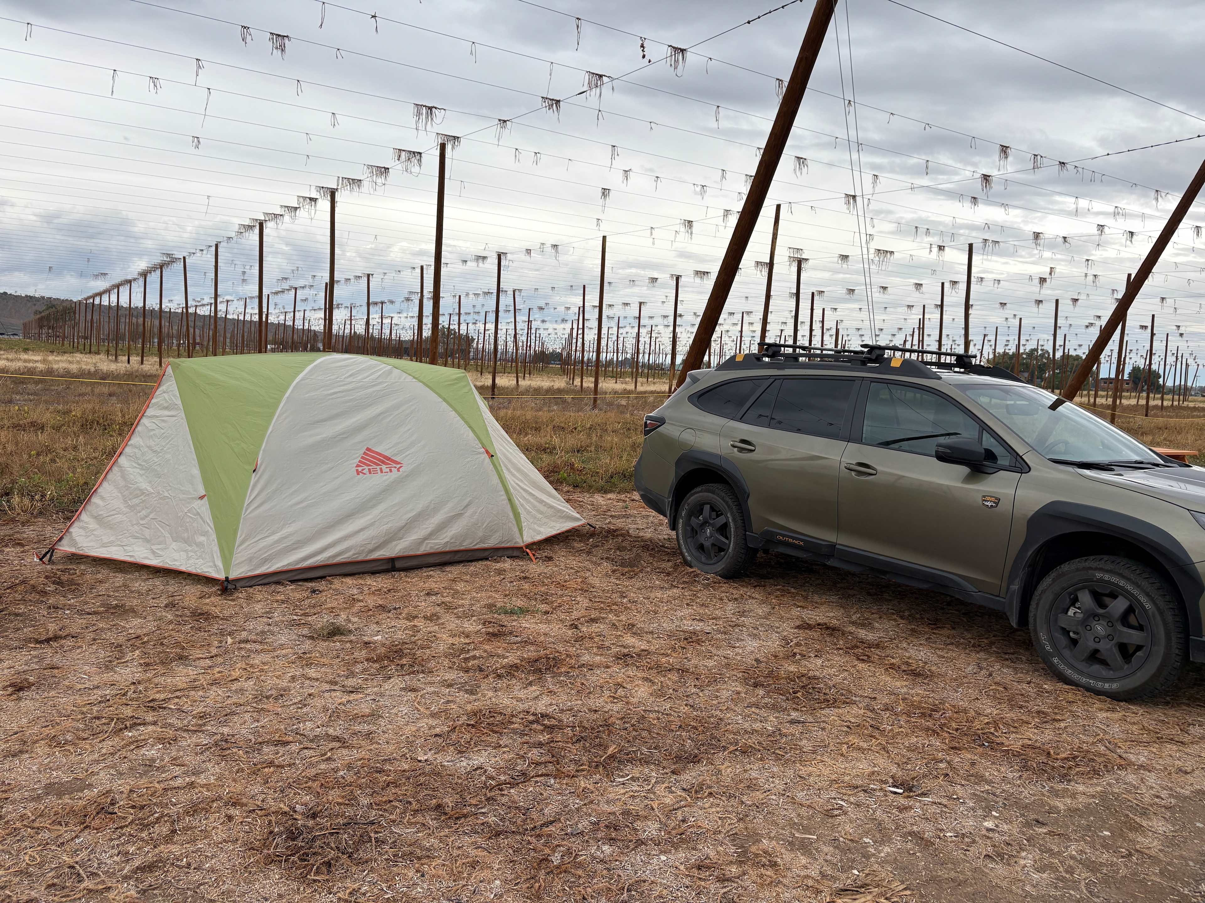 Down at the Hop Yard Camping