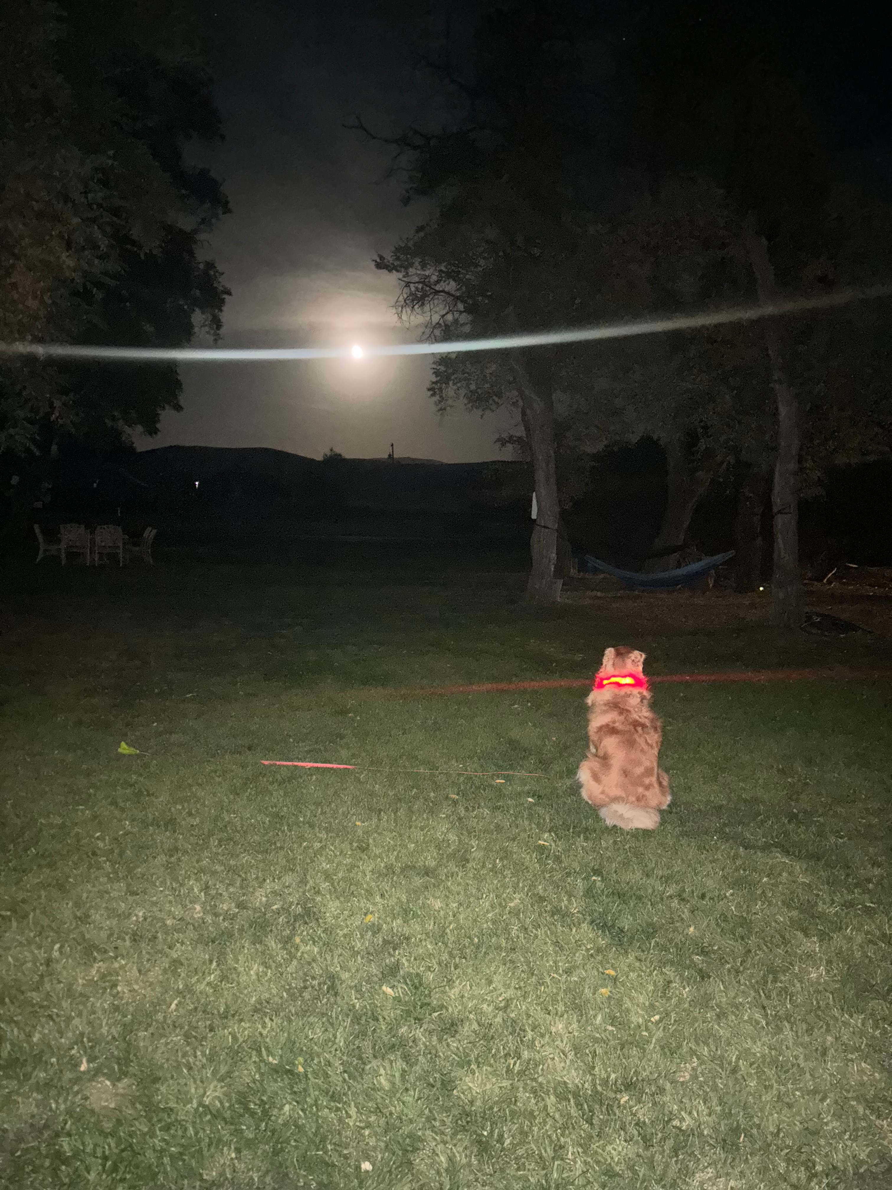 Incredible stargazing 