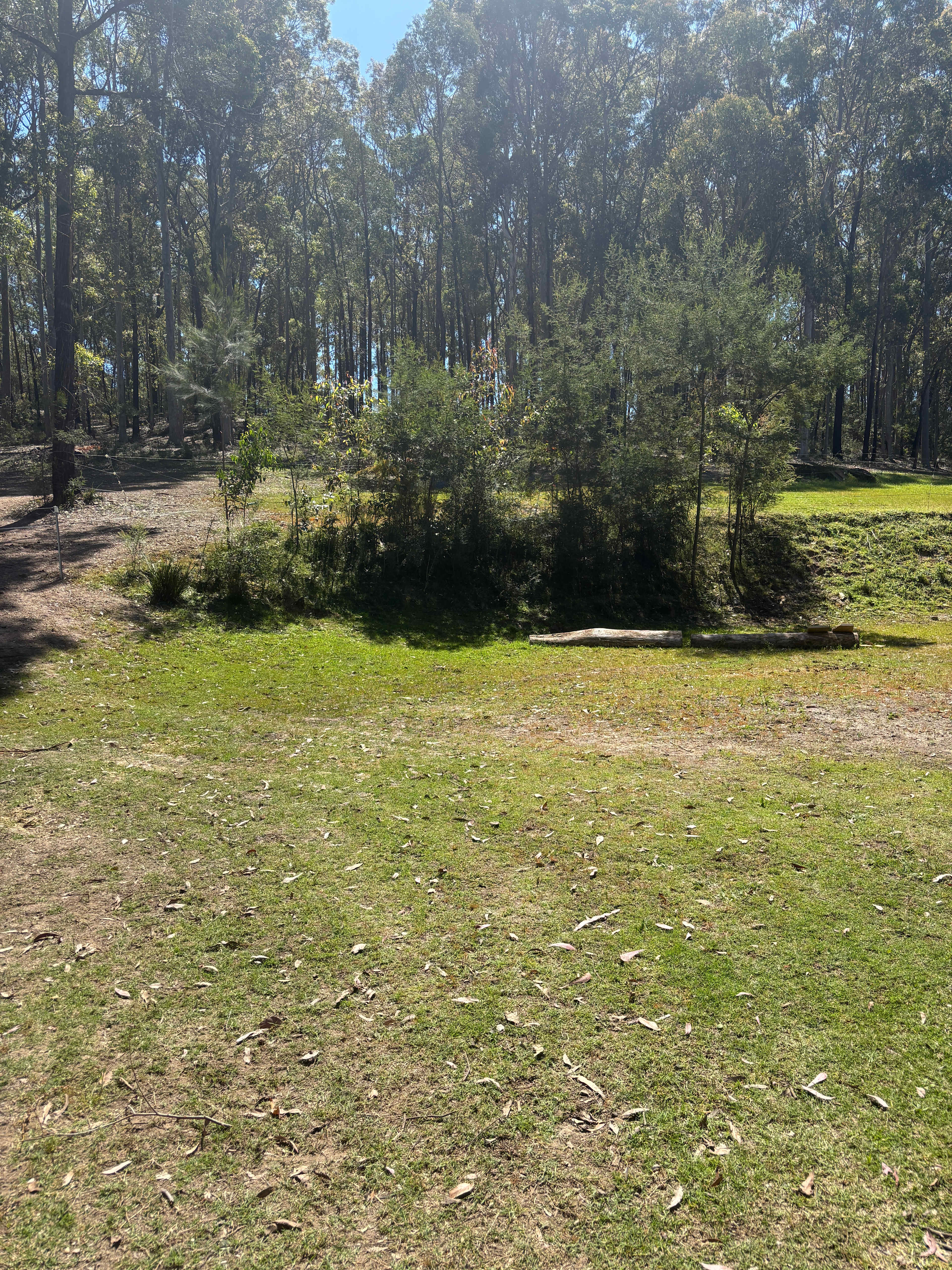 Tent site