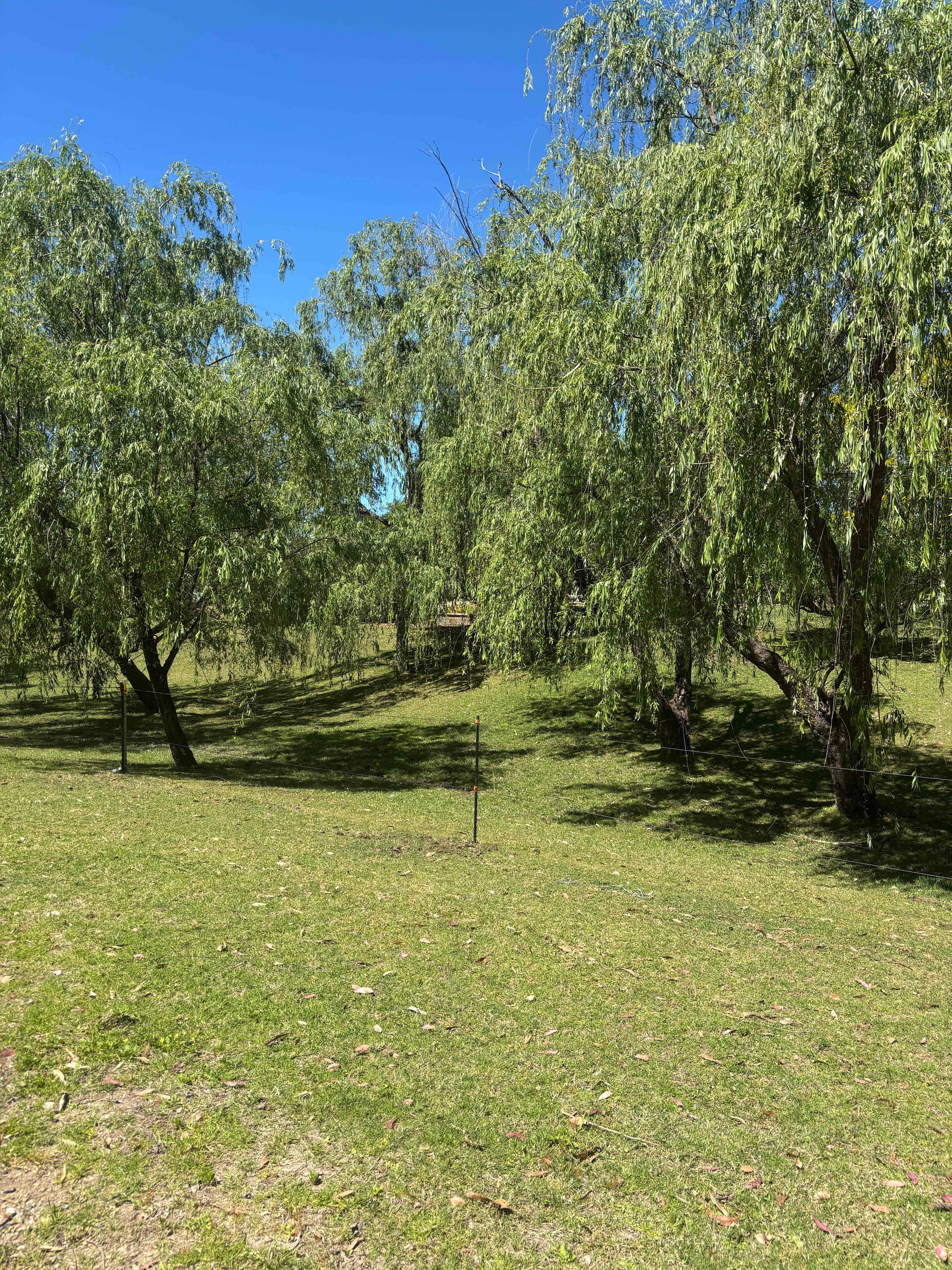 Mogo Bush Retreat