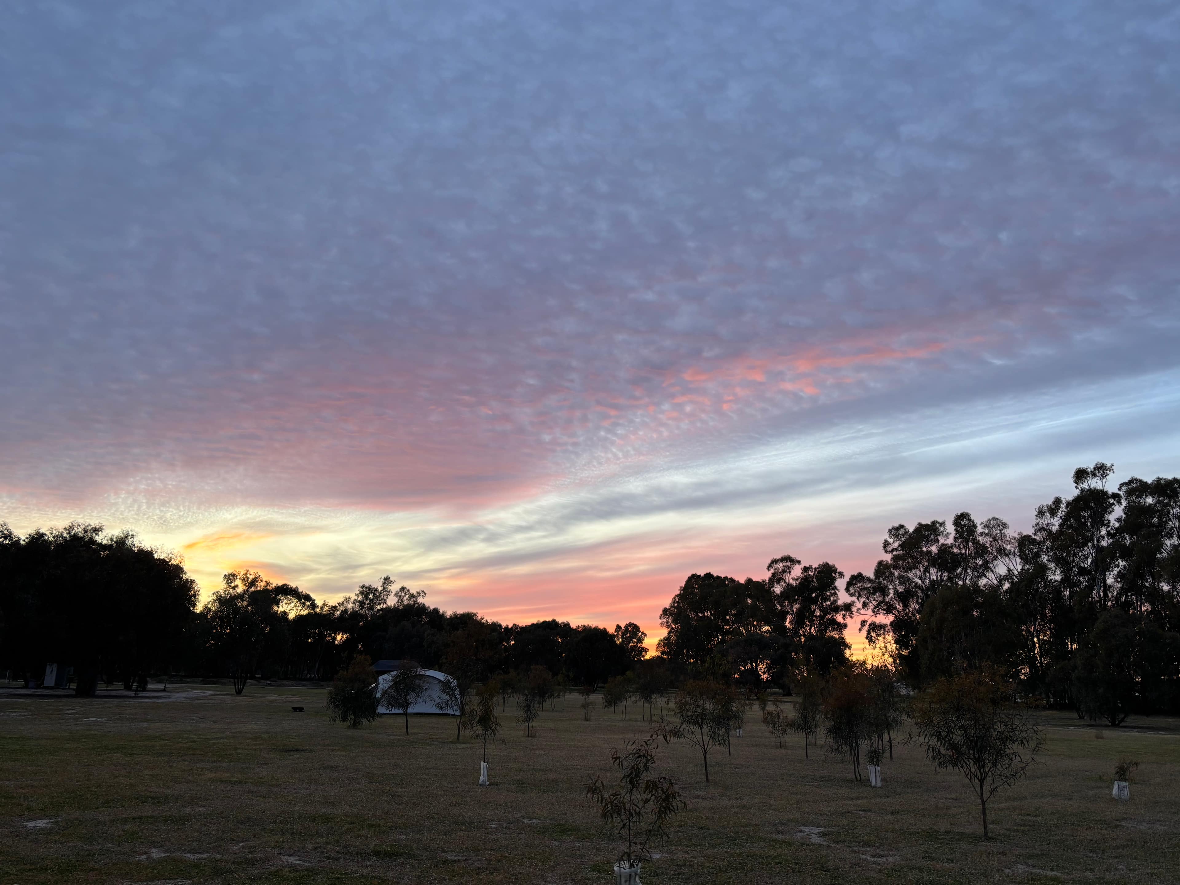 Murray River Bush Camp