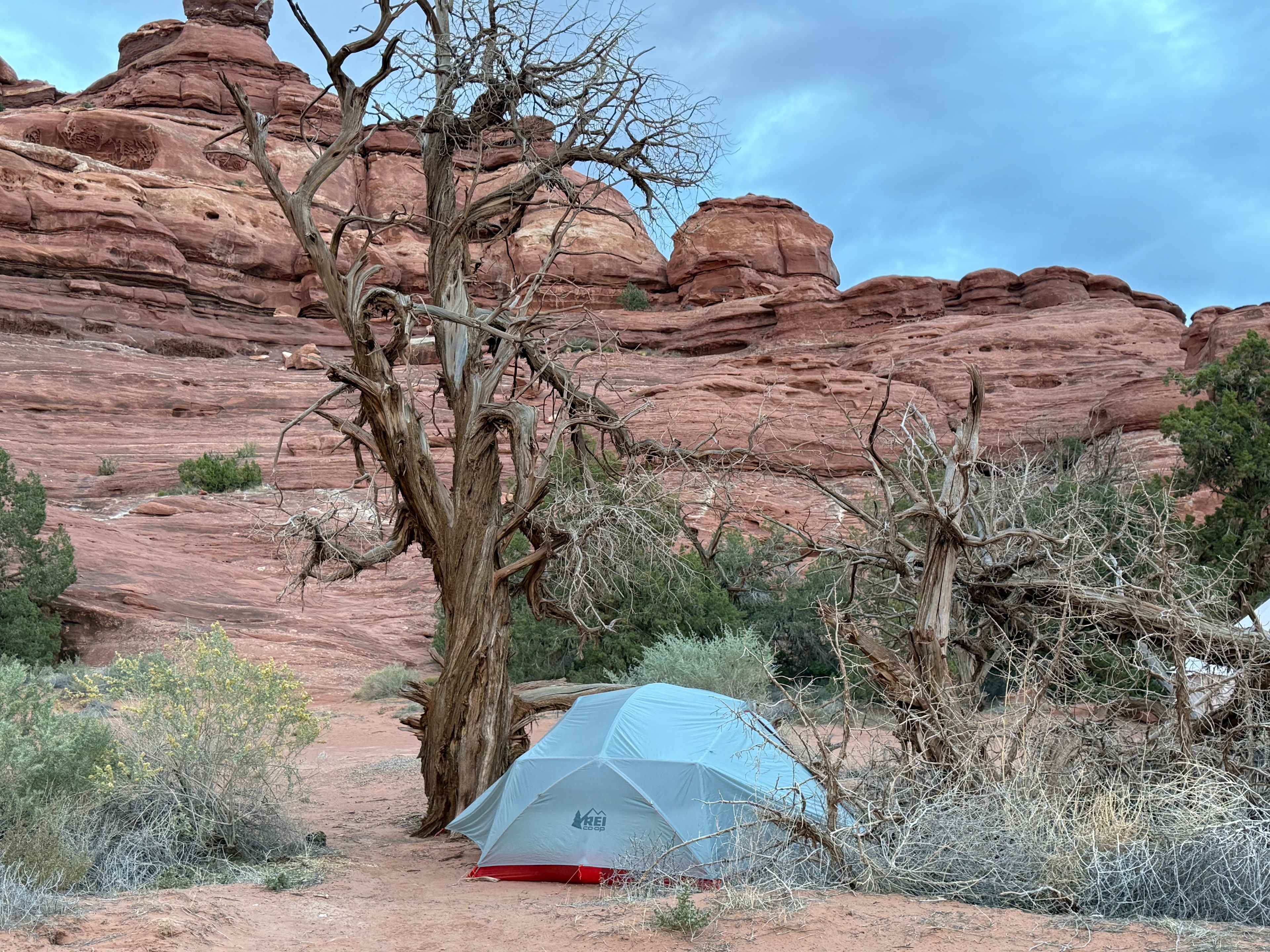 The Needles Outpost Campground