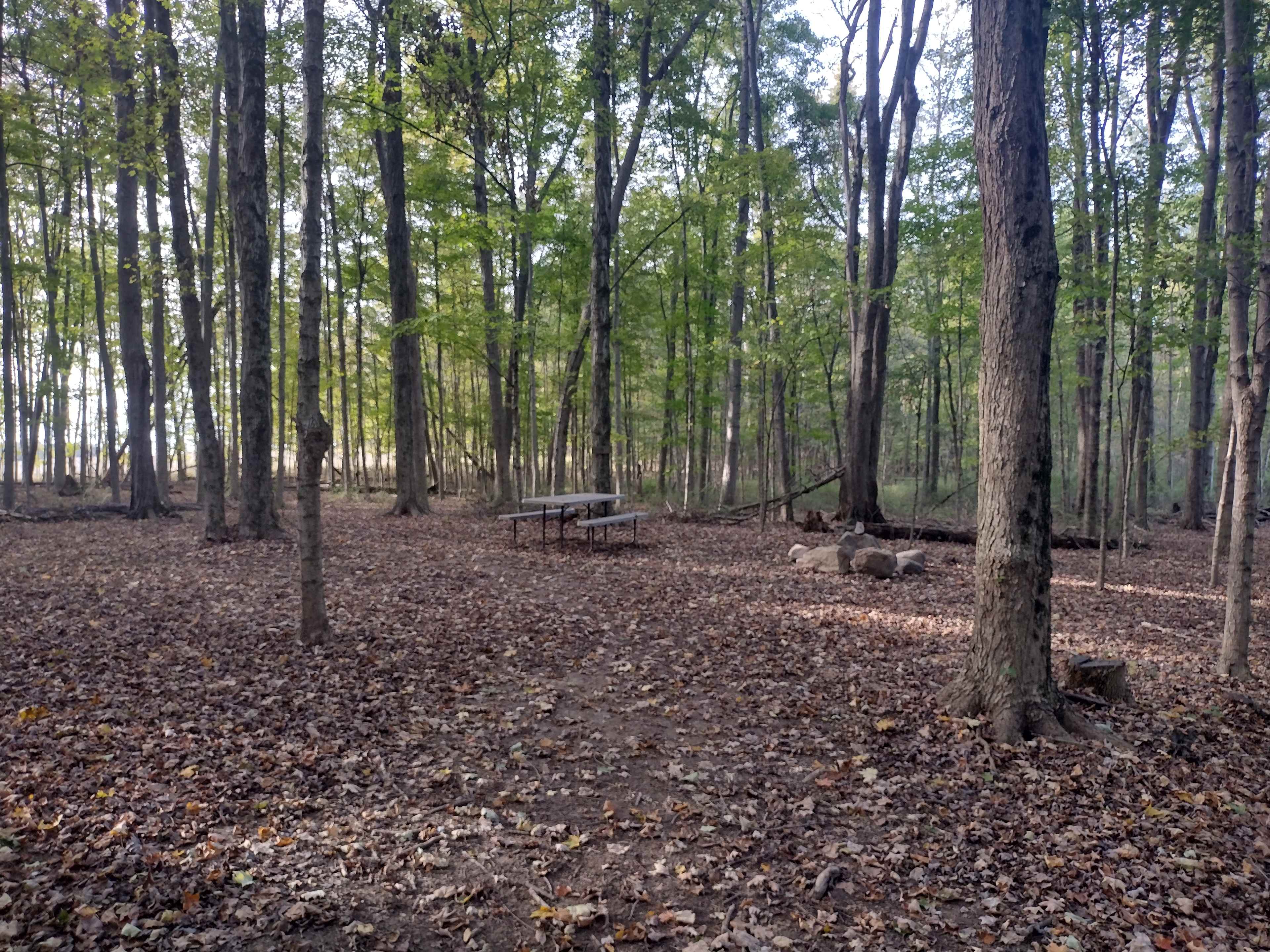 The Lake at the Flying J Farm