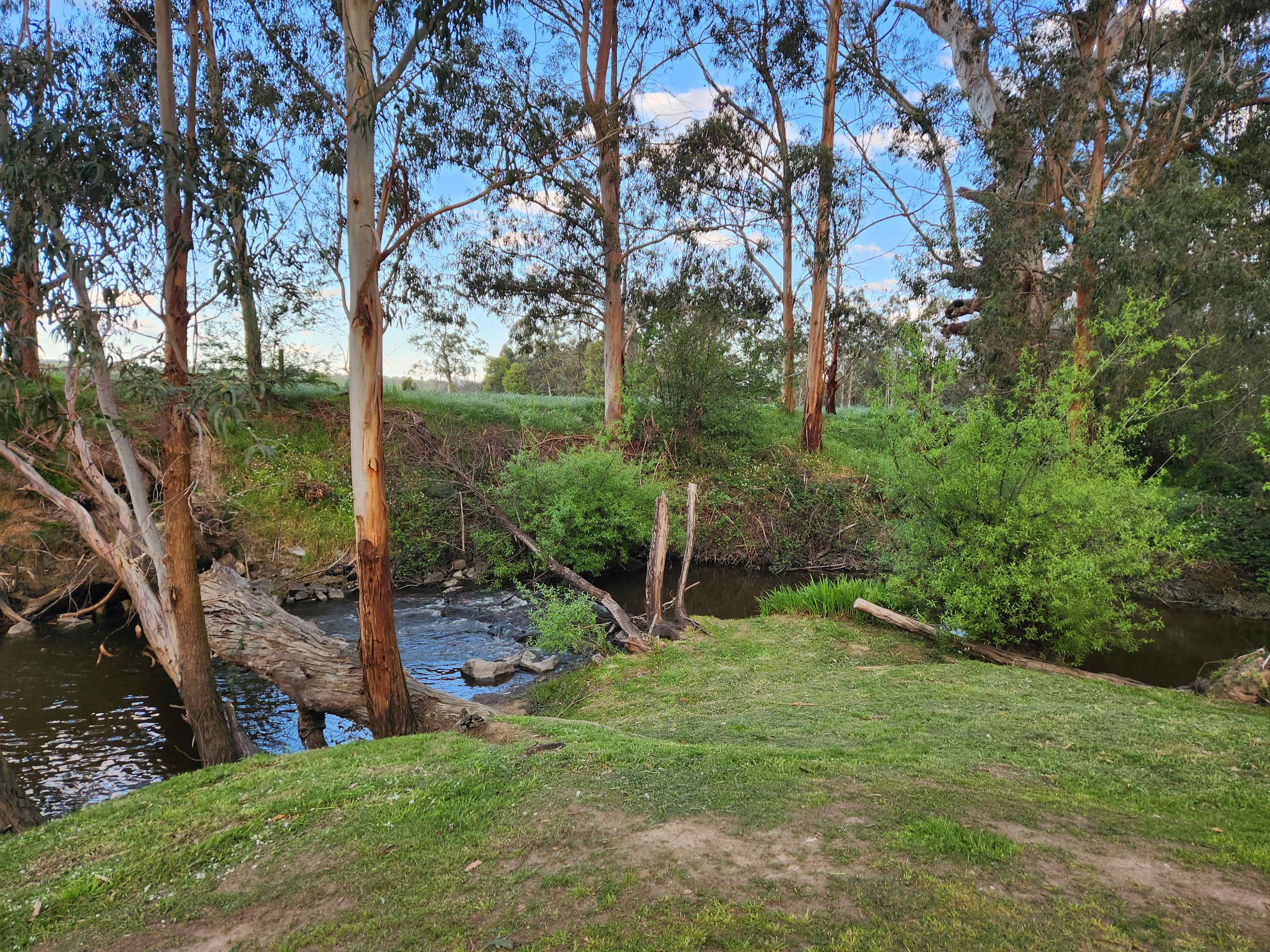 Casa Cucina / River House / Quirky