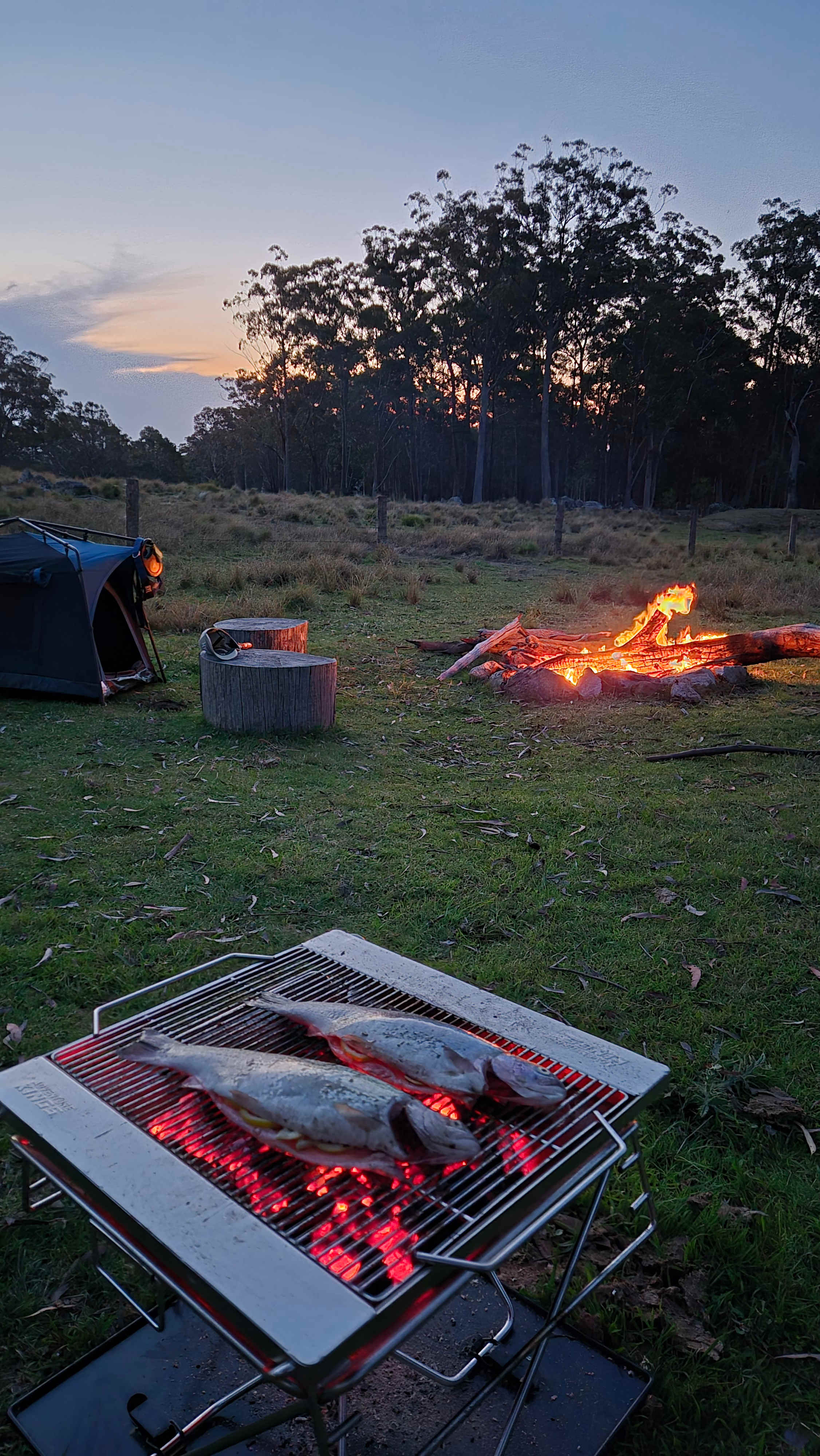 BAJIMBA Eco Camping and Farm Stay