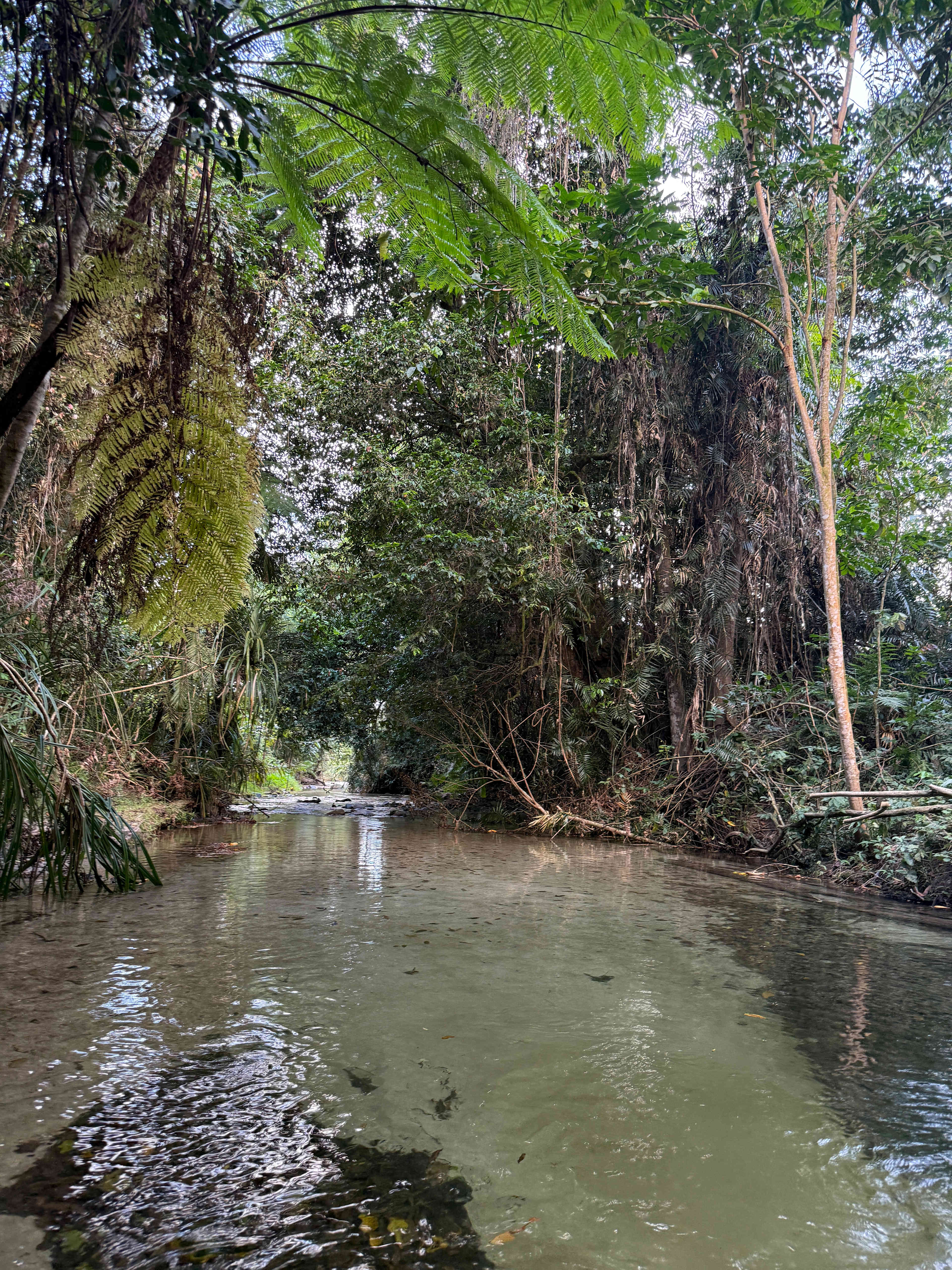 Crystal clear creek just for us