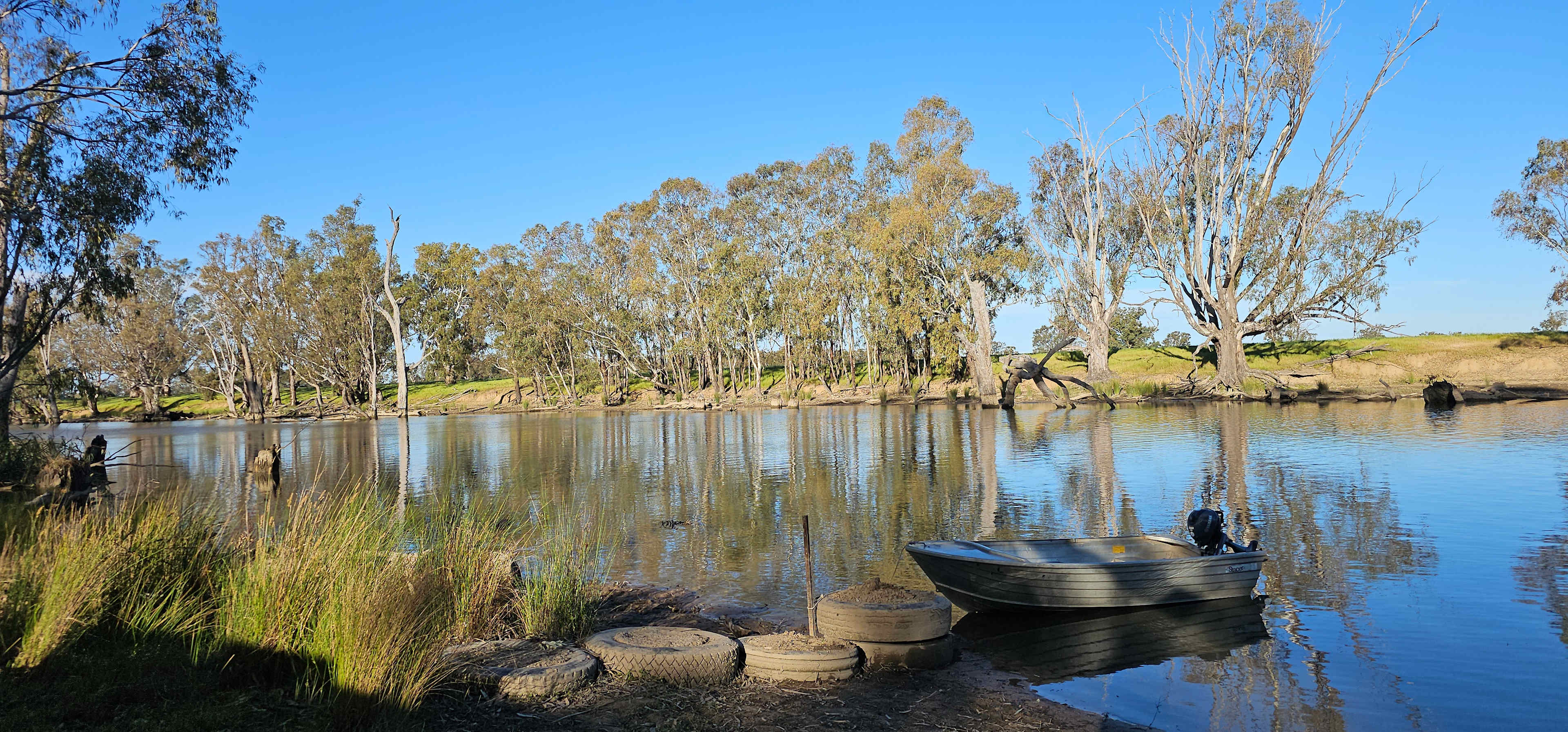 Cudgella on Bundidgerry Creek