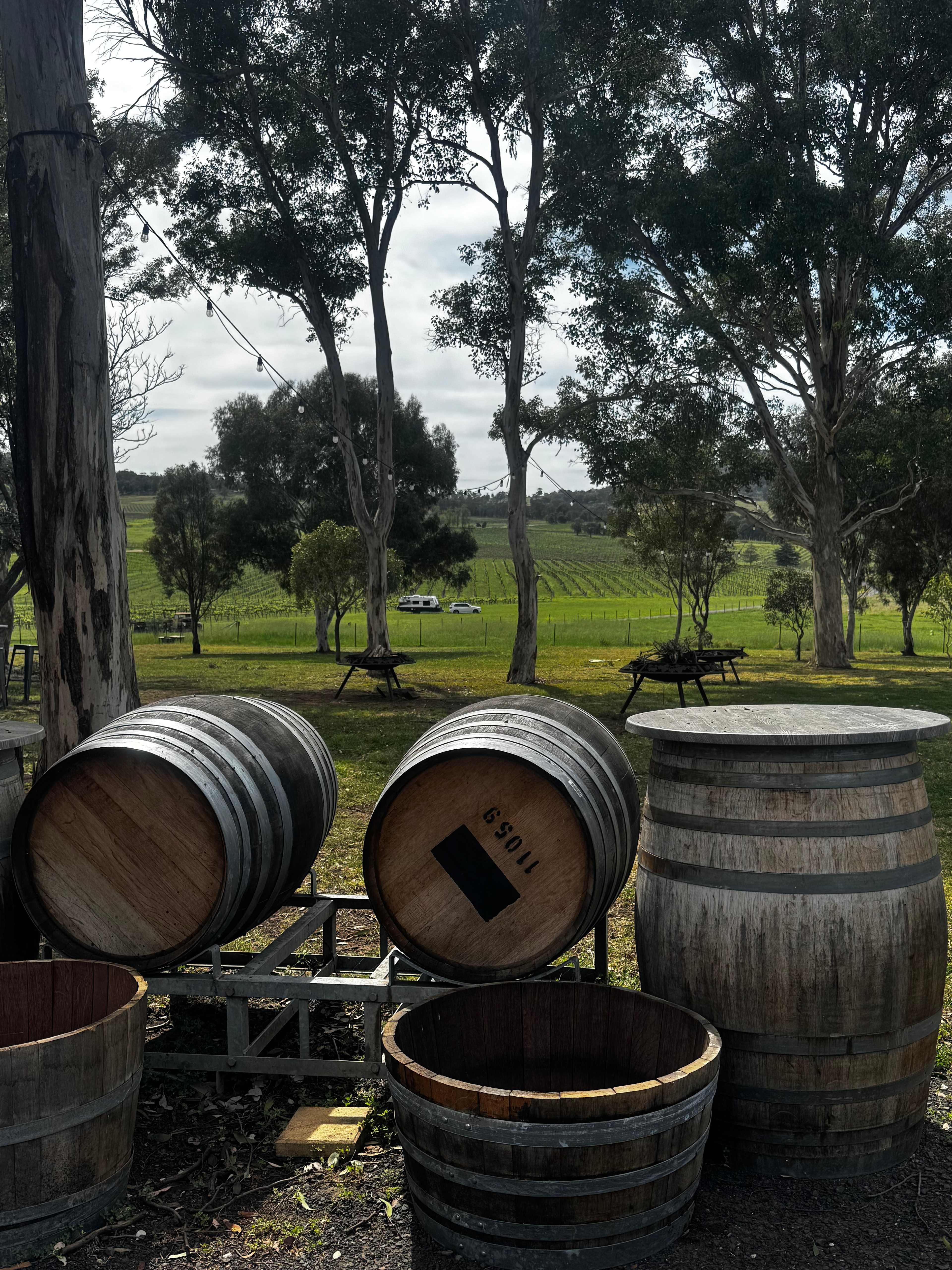Vans in the Vines Mudgee