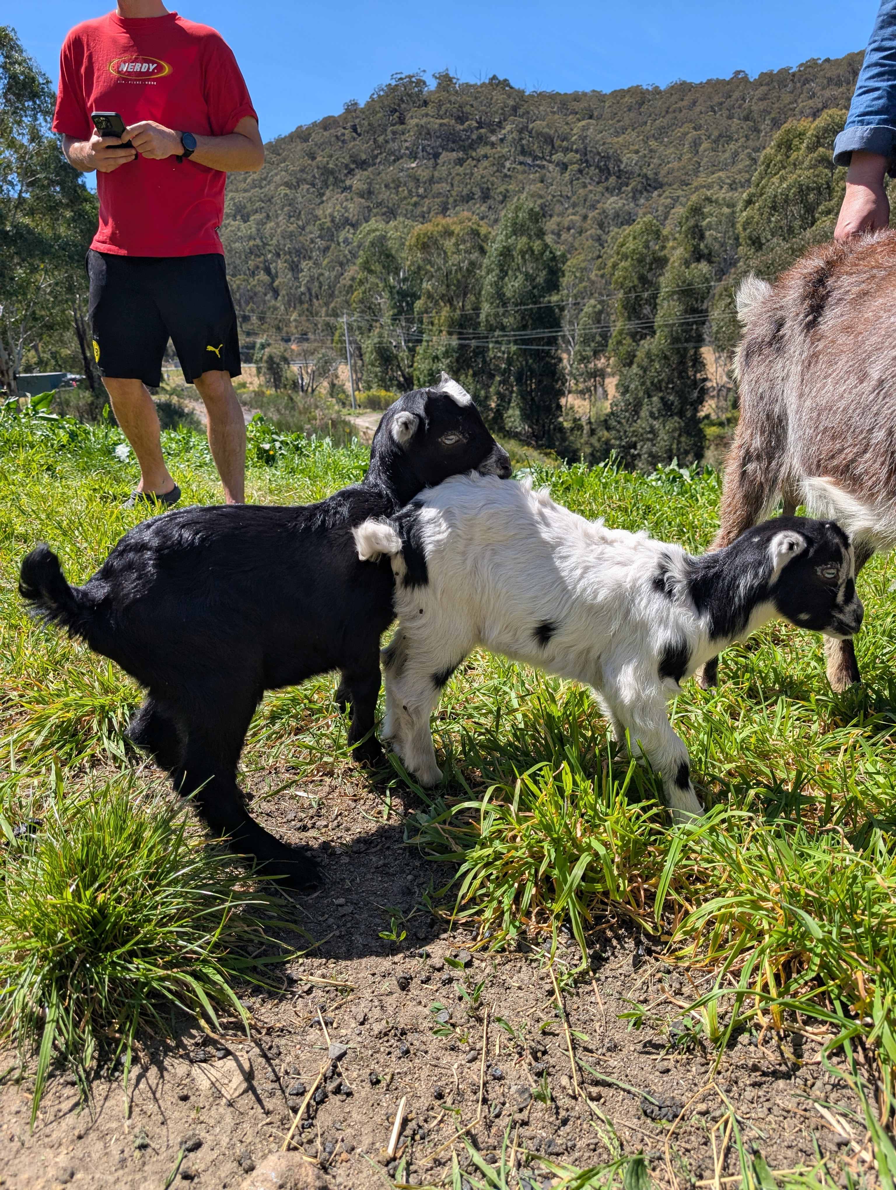 Little Creek Retreat