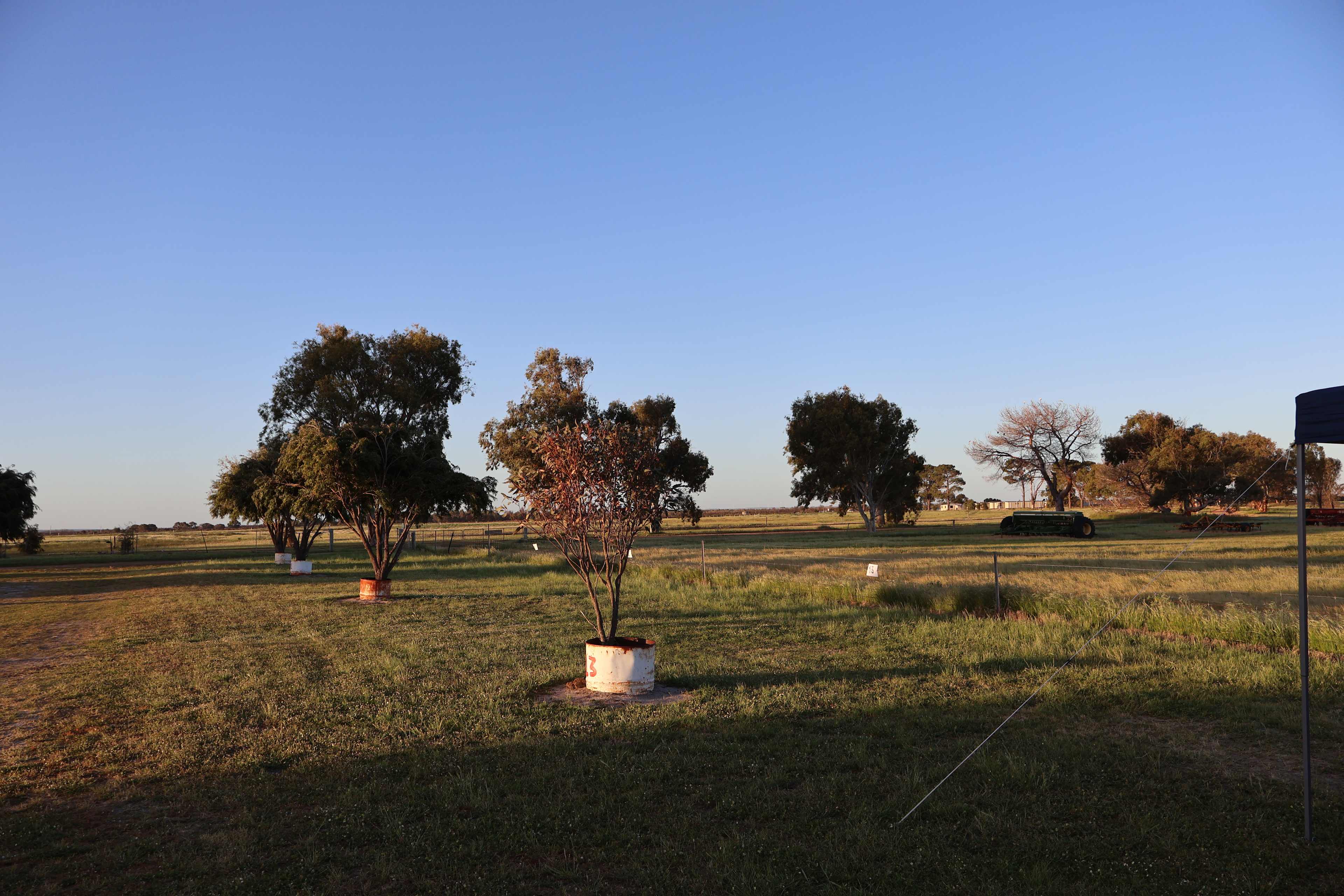 Nambung Station Stay