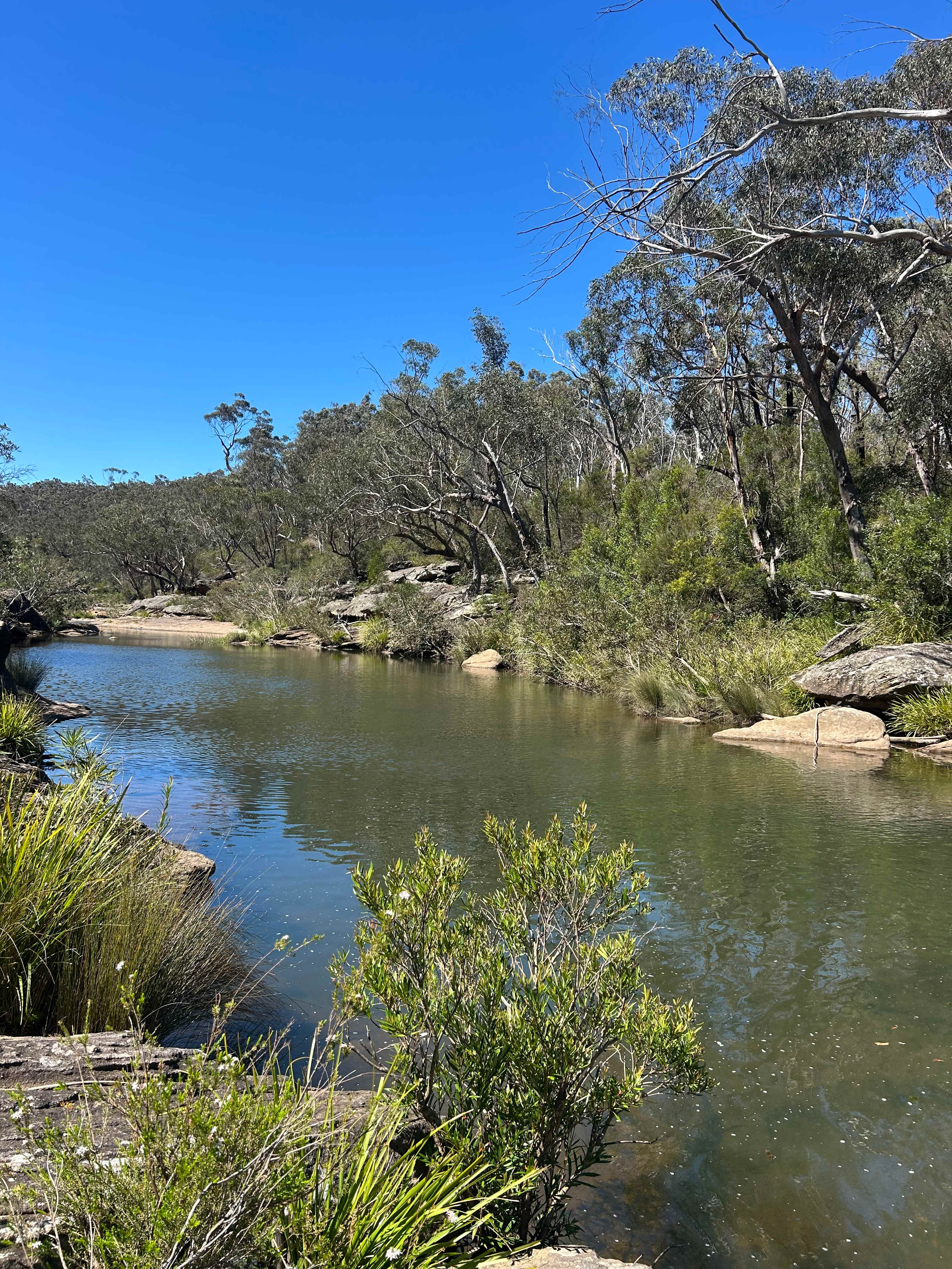 Rosewood Farm's Riverside Glamping