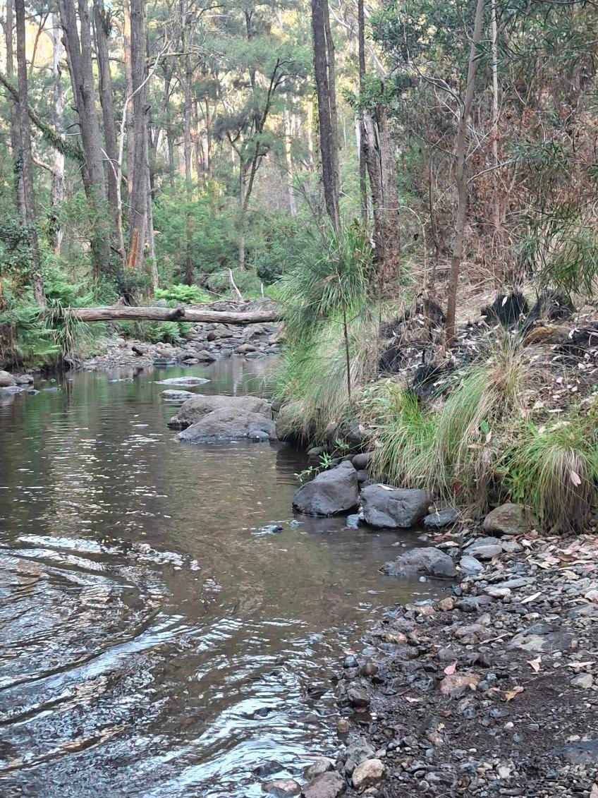 Beautiful cool creek!