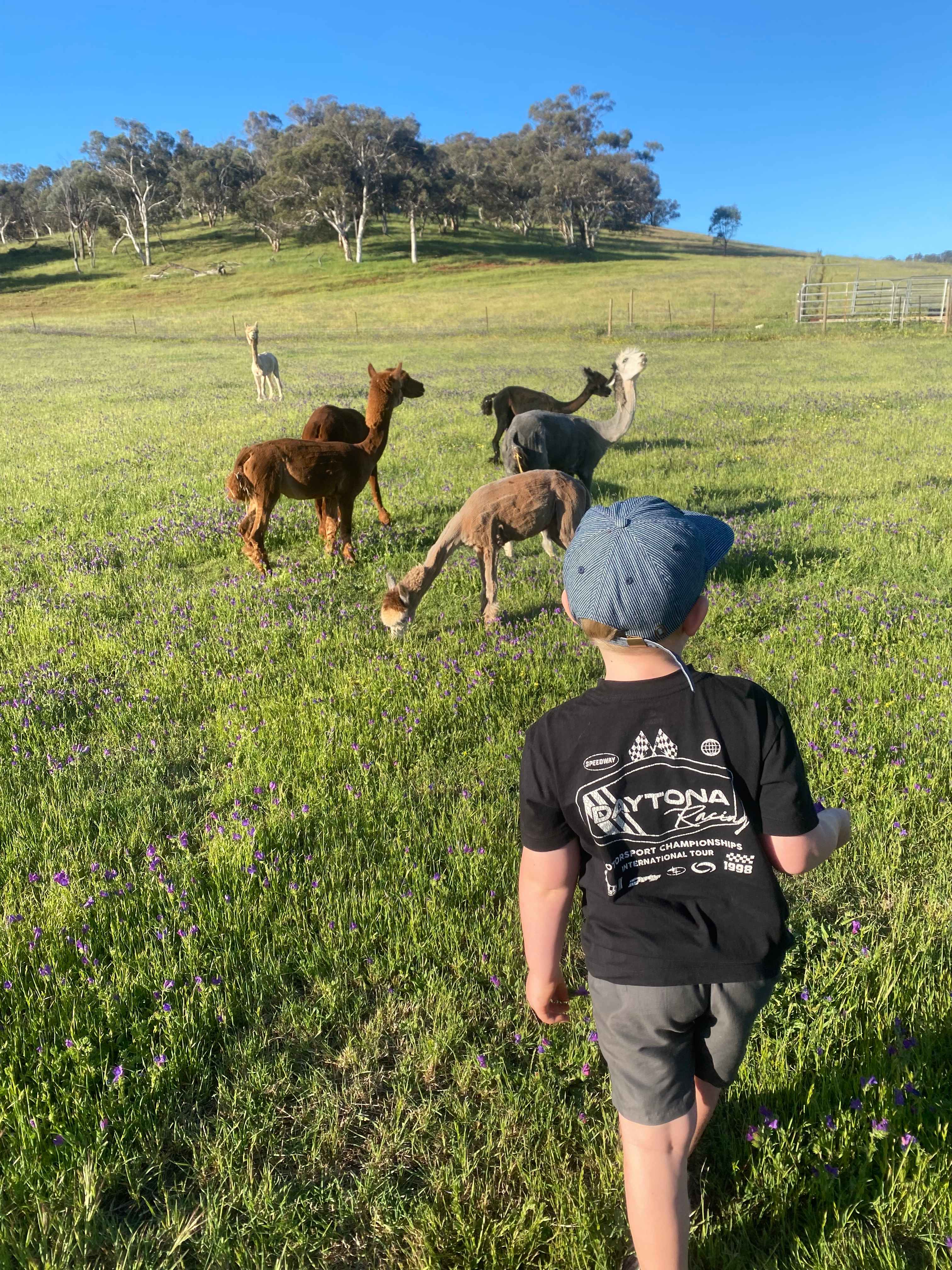 Sandalwood Downs  Farm Stay Toodyay