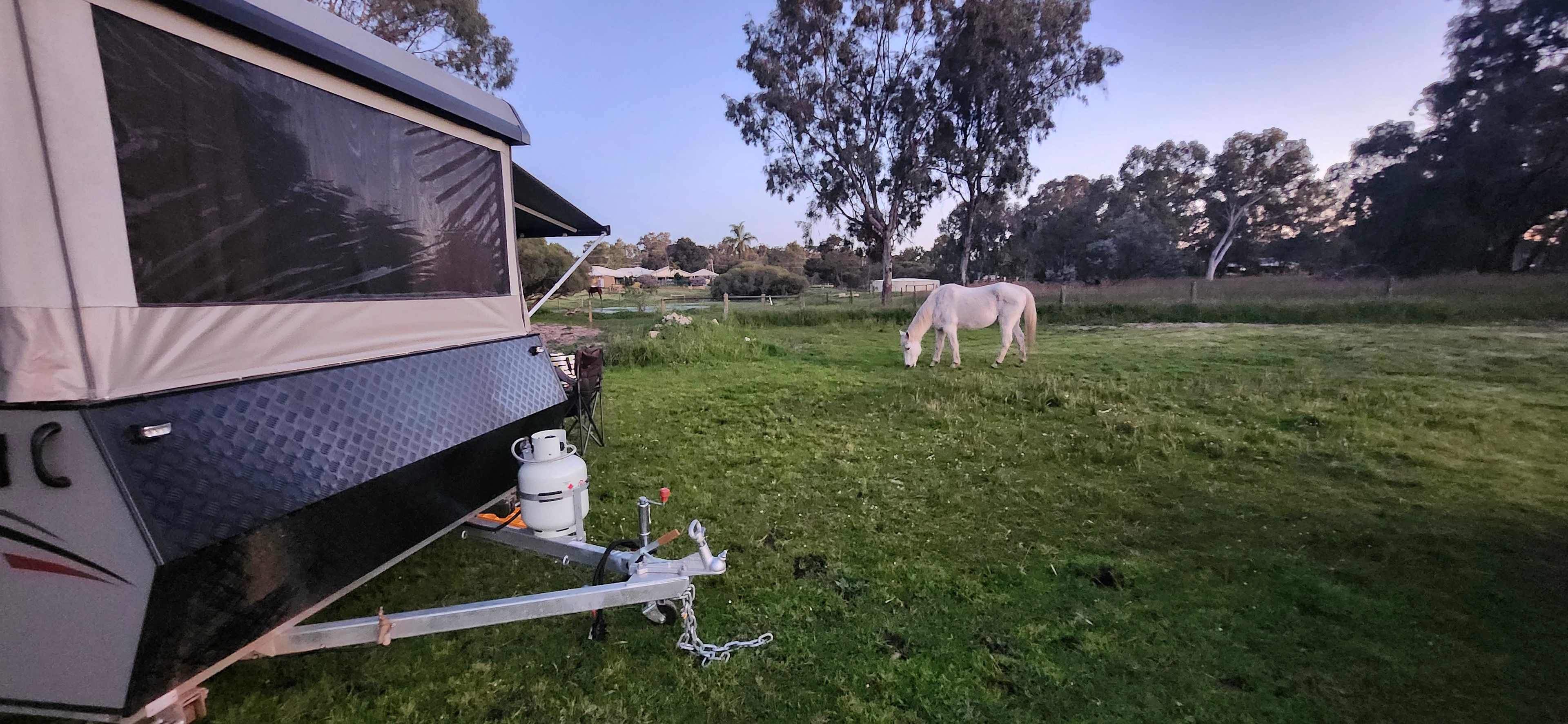 Everything Horses Ltd