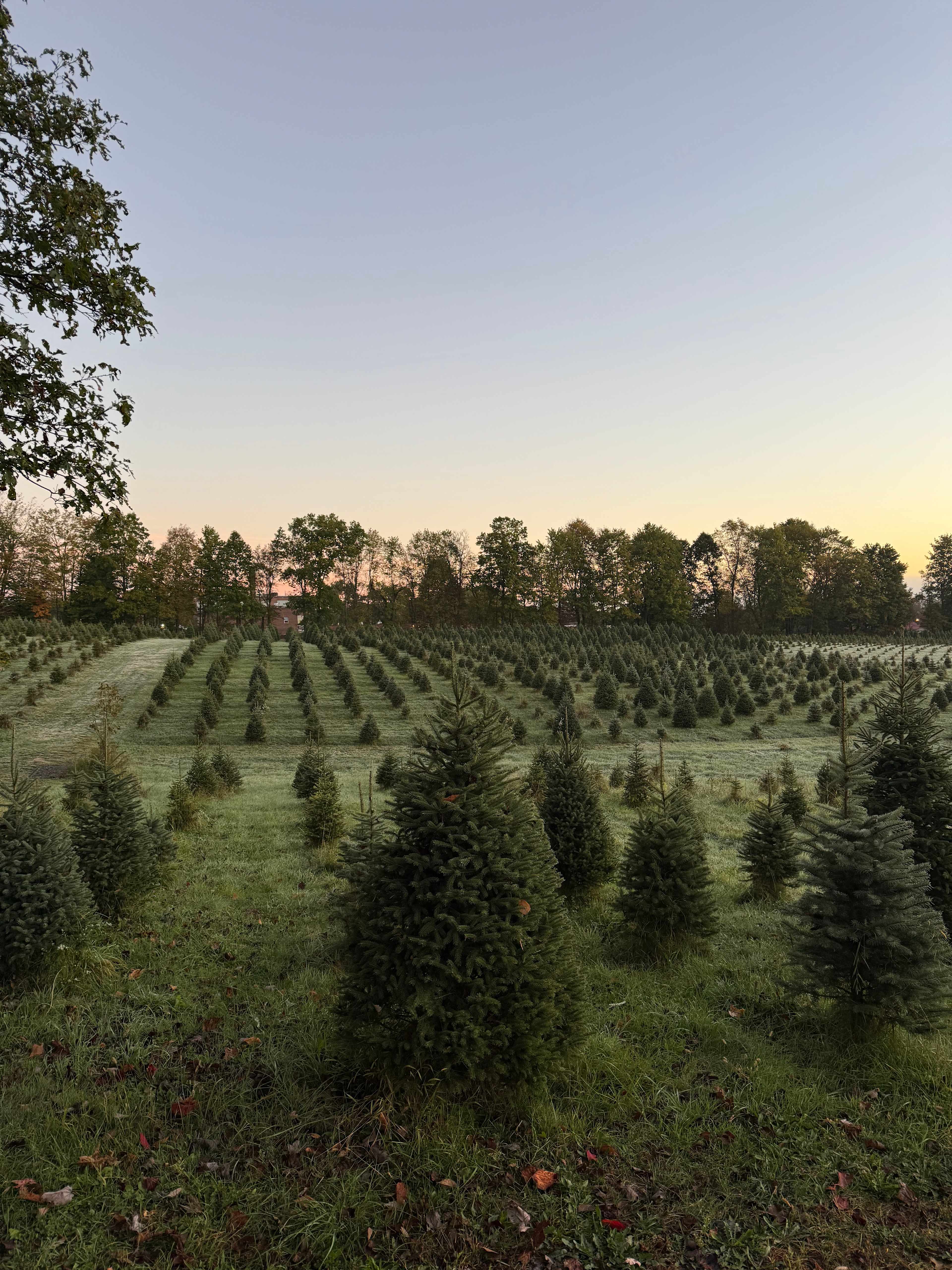 Camping at Heritage Farms