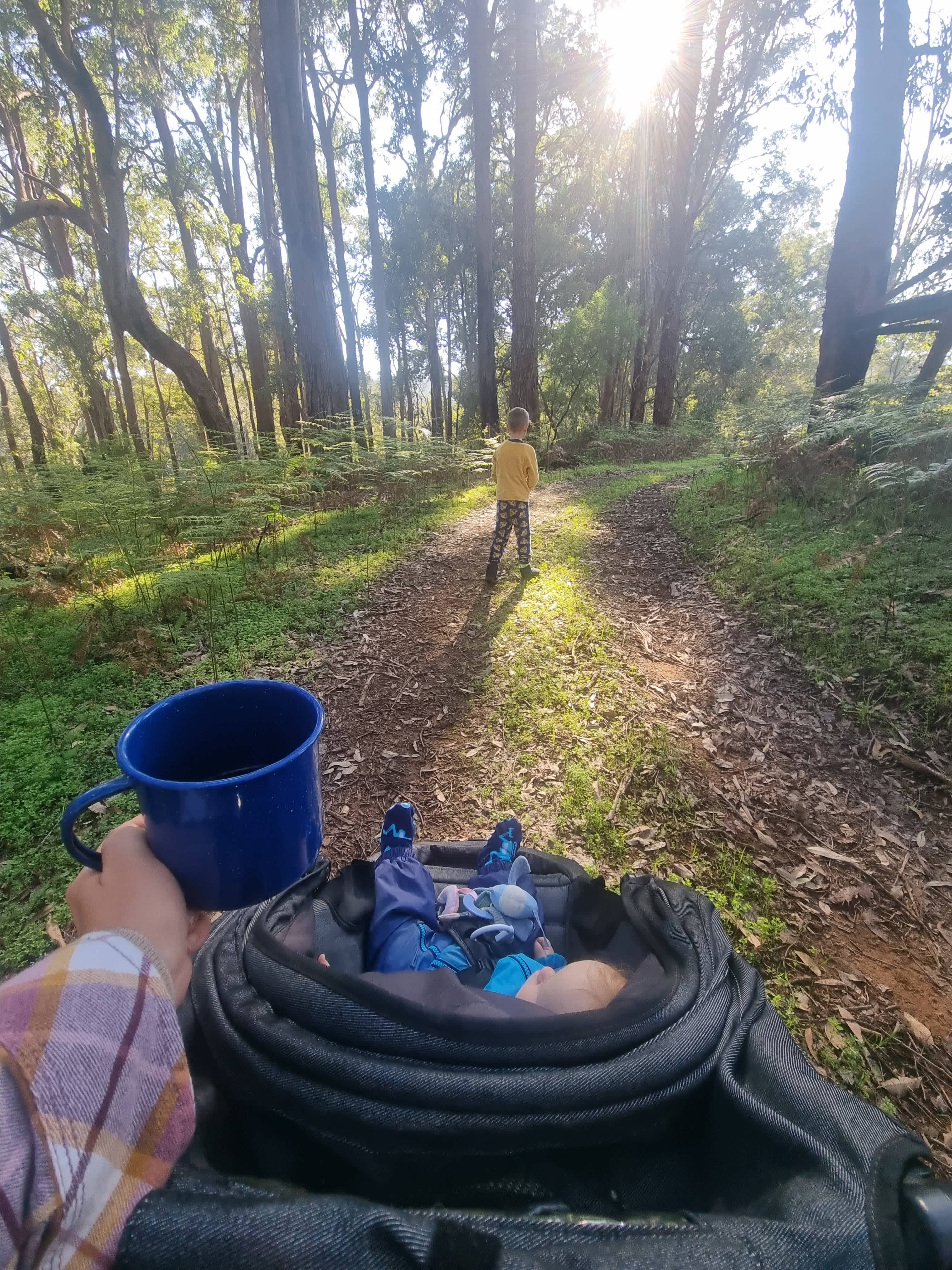 Beautiful little trails to explore 