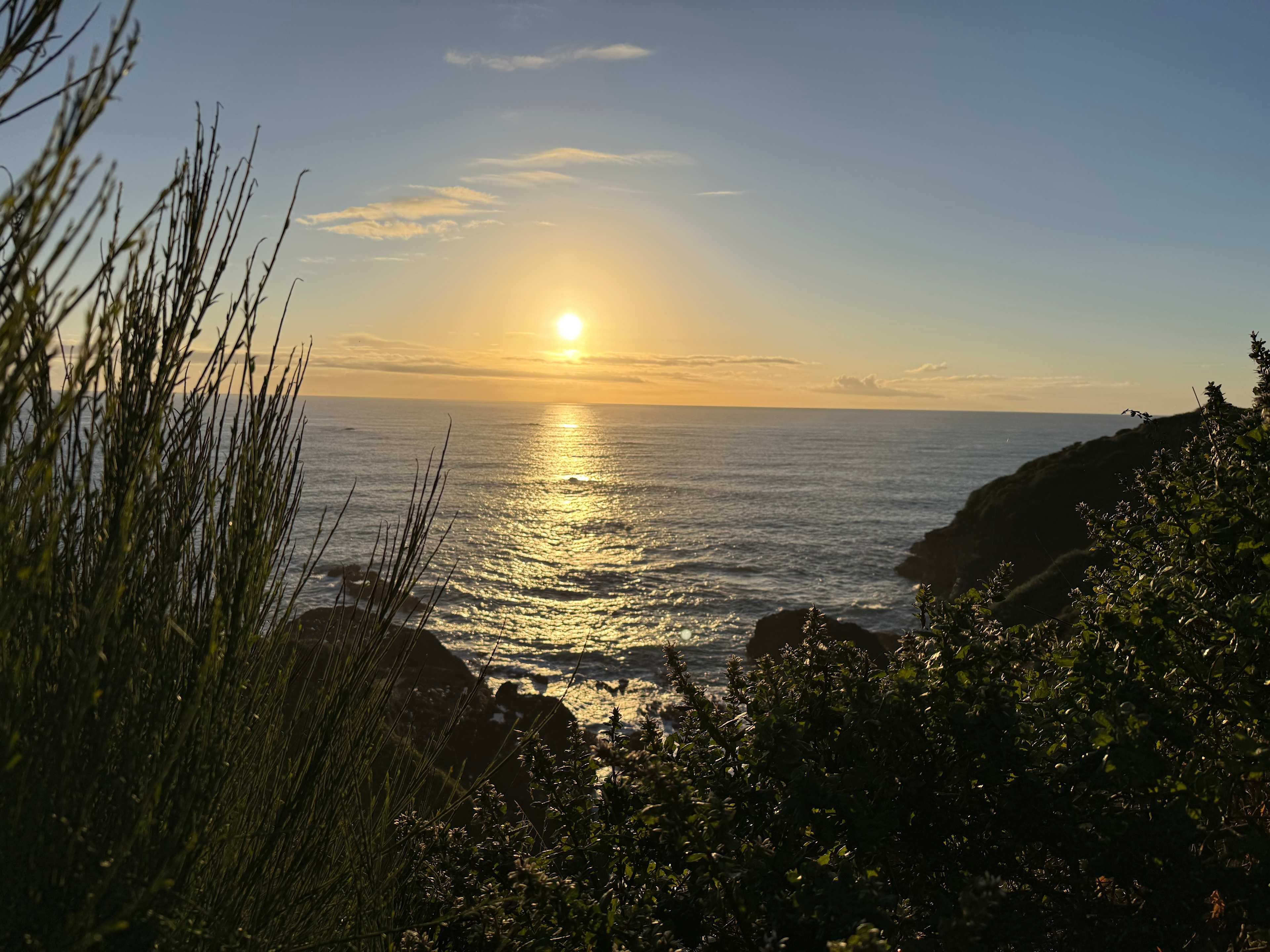 From Trinidad State Beach, 5 minutes from the cabin