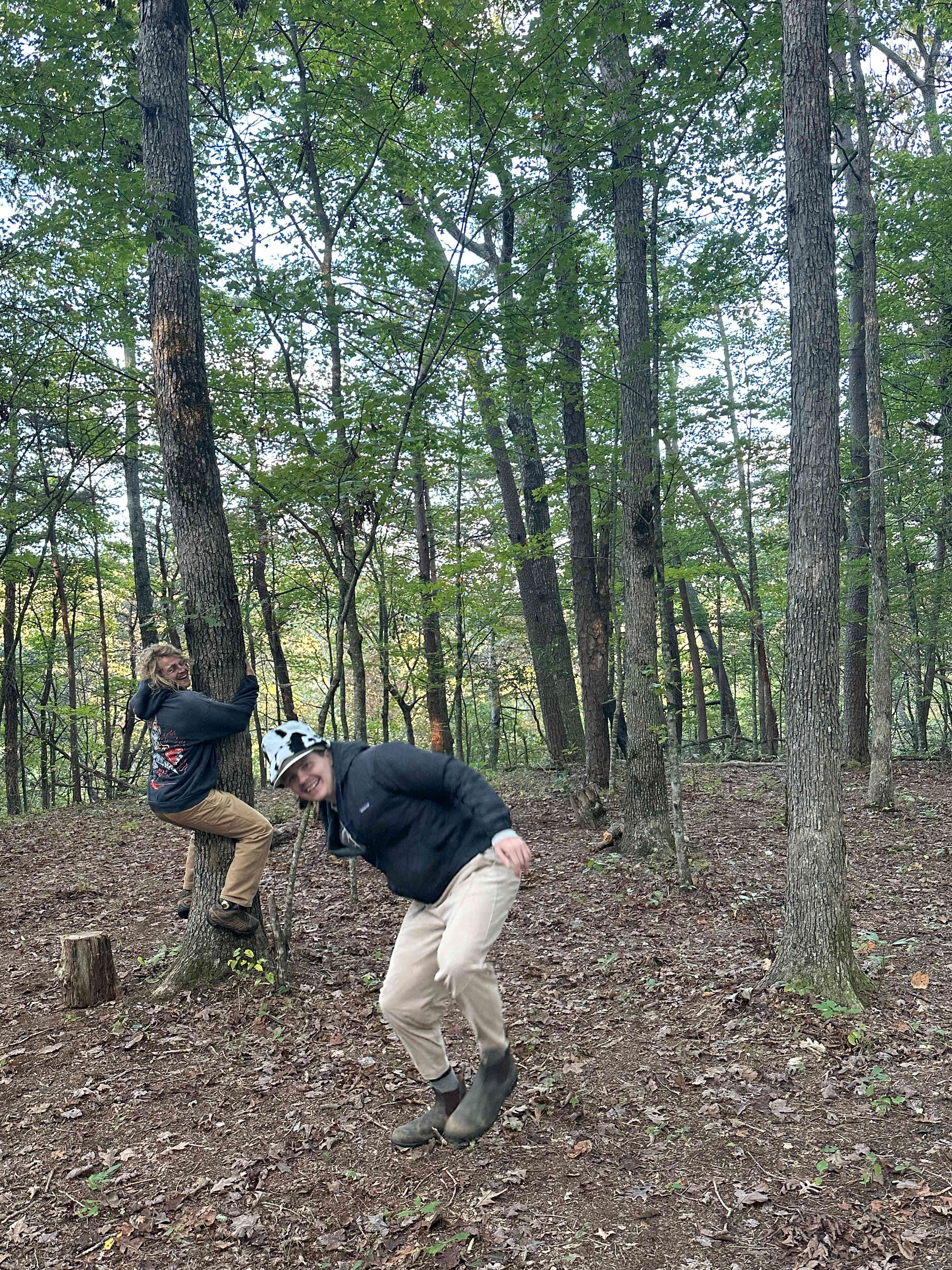 The Falls at Sewanee Creek