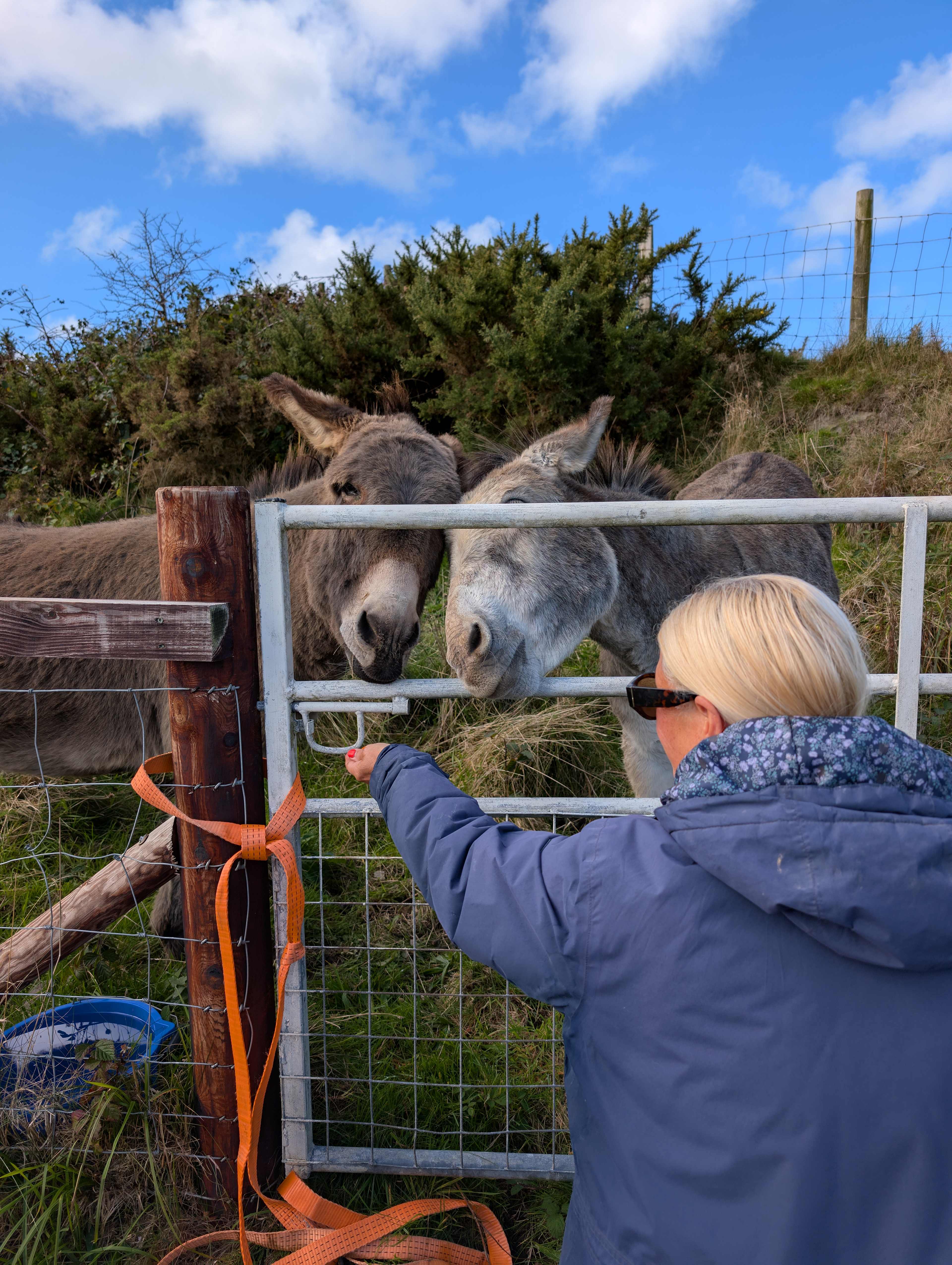 Sleep beneath the Stars!