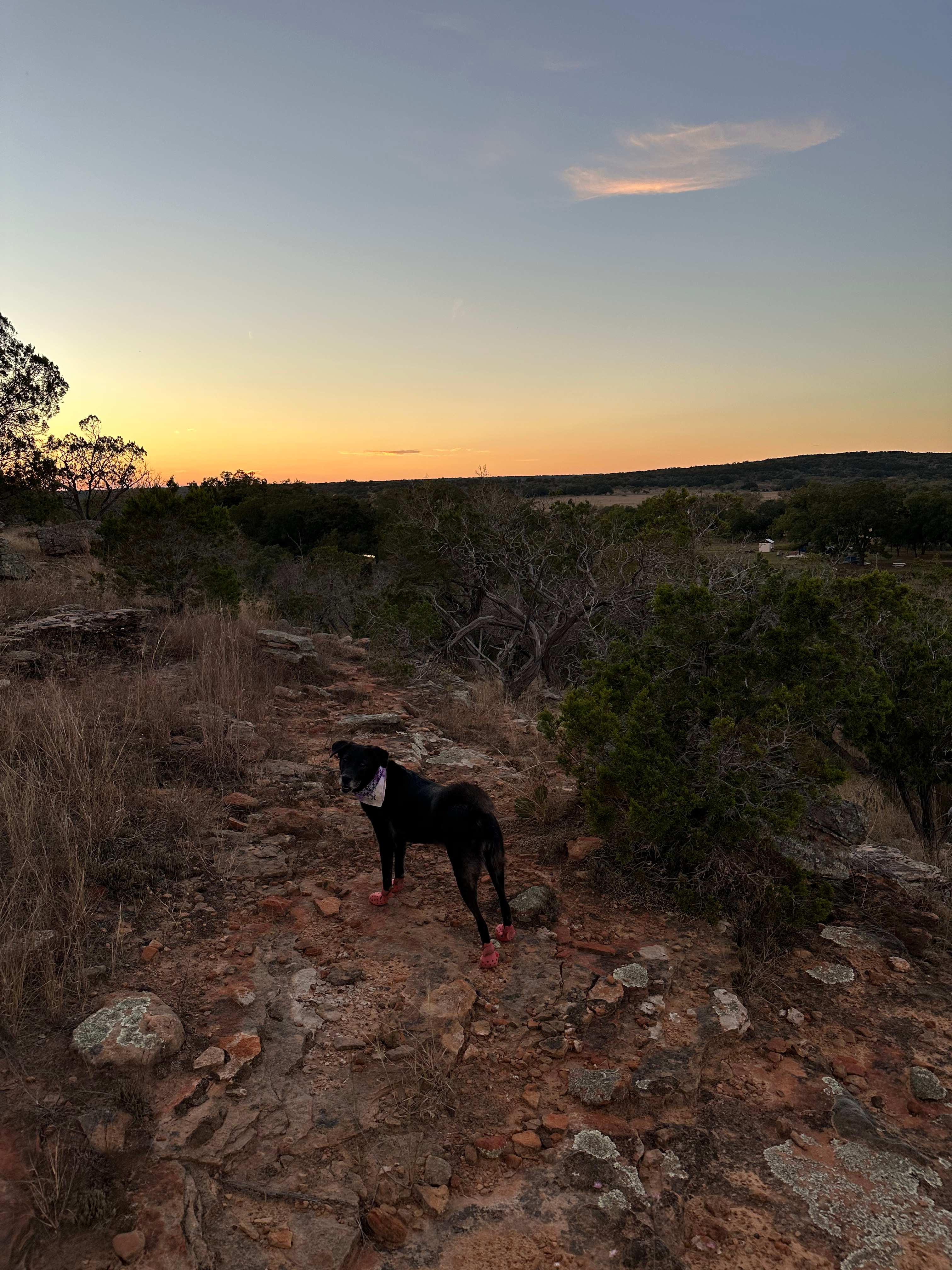 Beautiful sunset on a hike from Chris’ land.