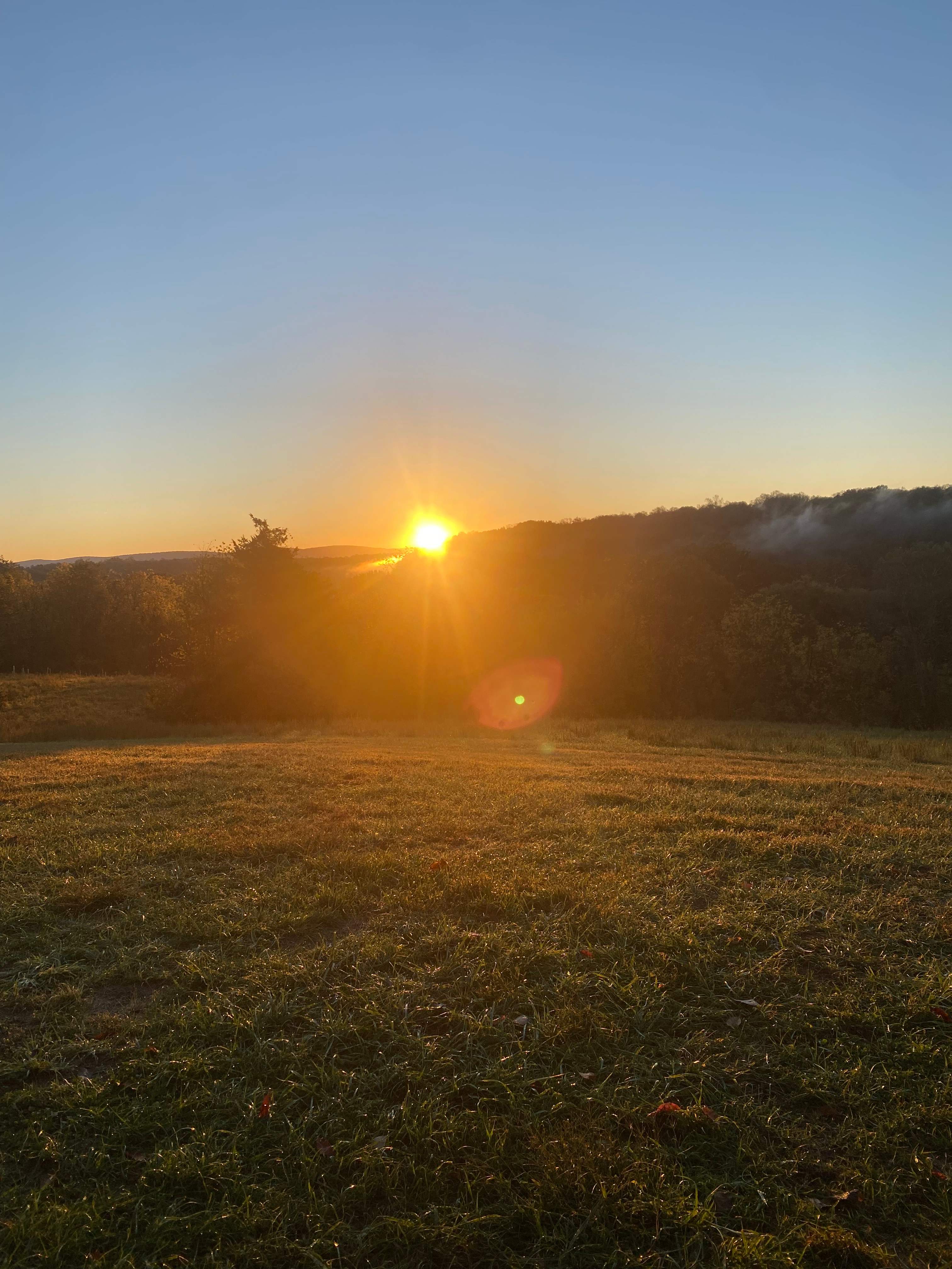 Taylors Landing Camping Club