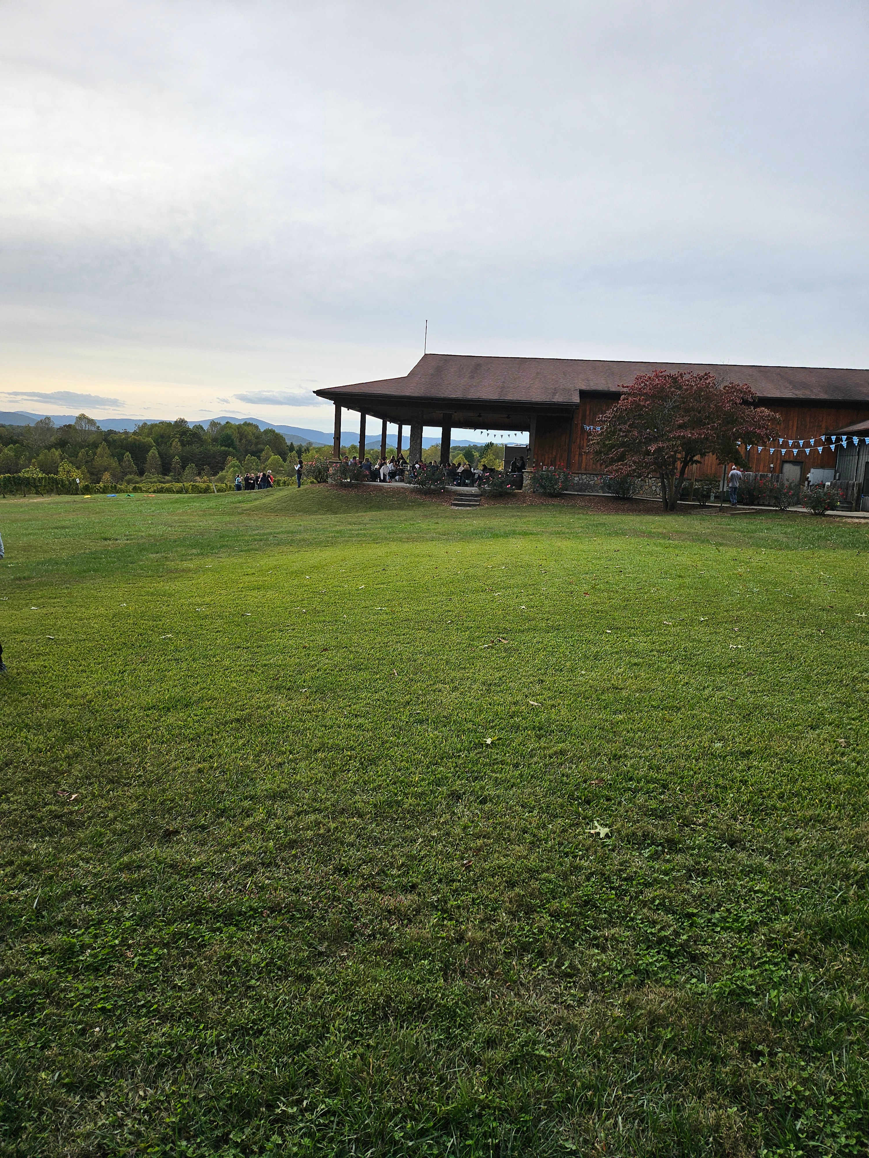 Round Peak Vineyards