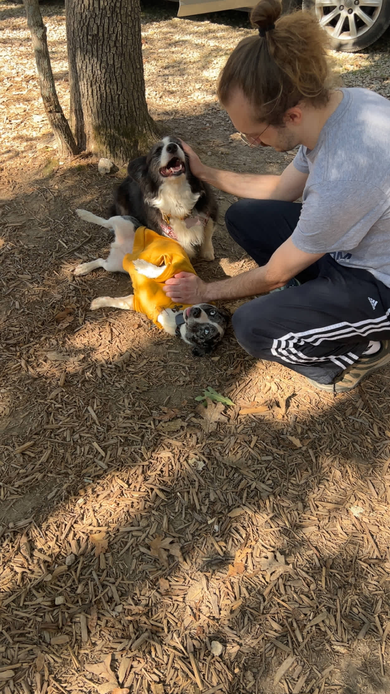 The dogs liked it too!