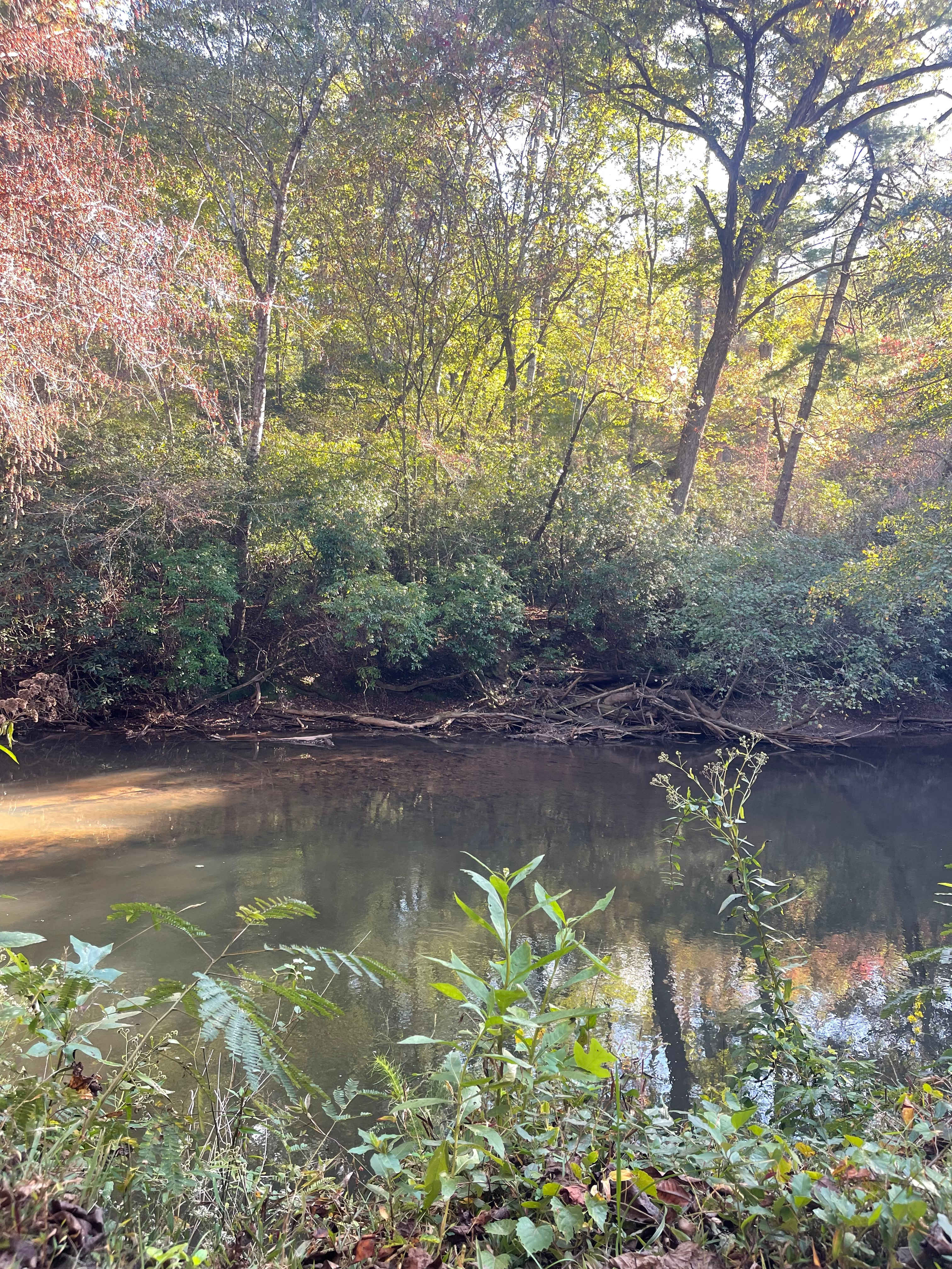 View from campsite 6! 