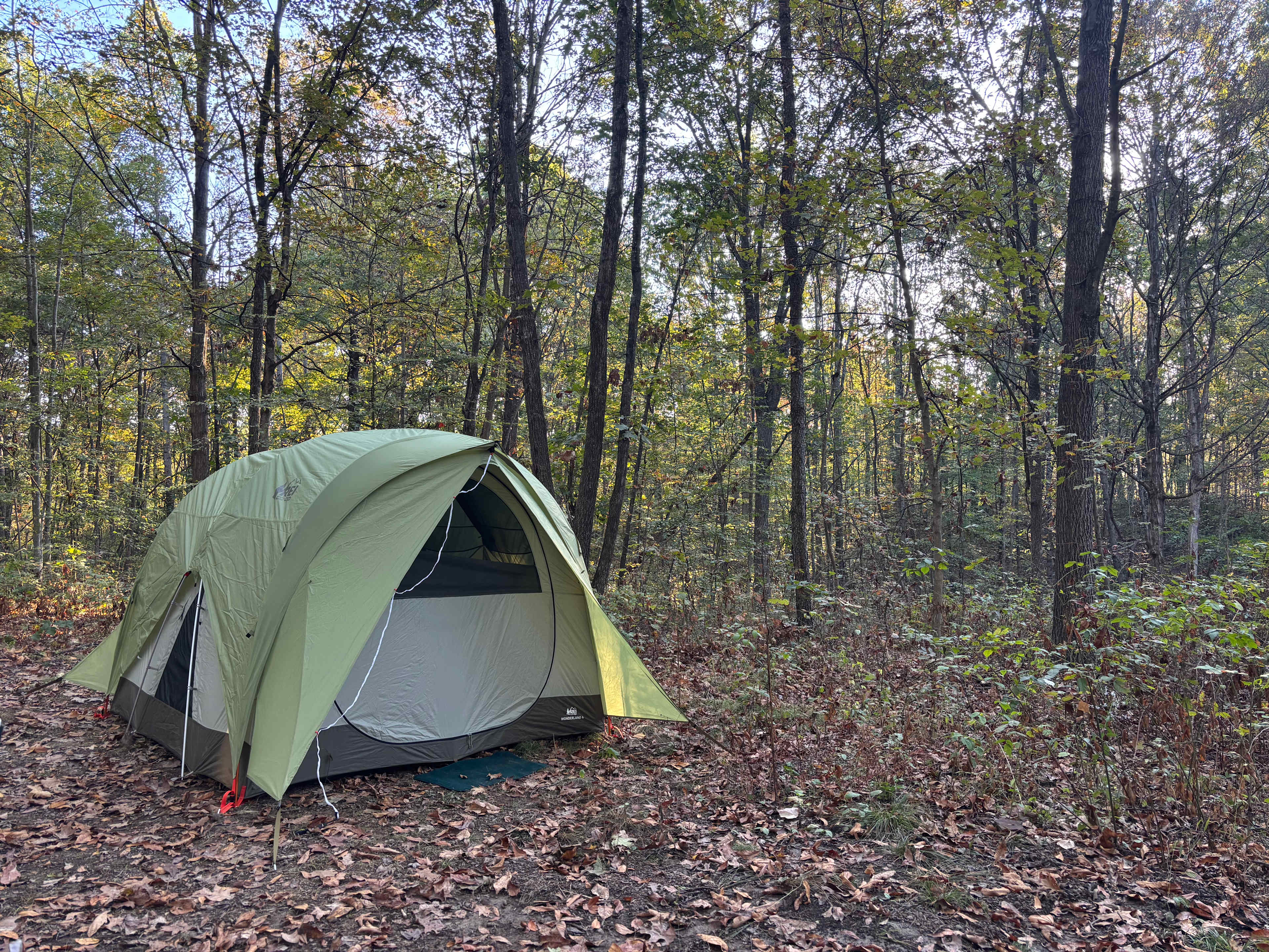 Benton's on the Baileys