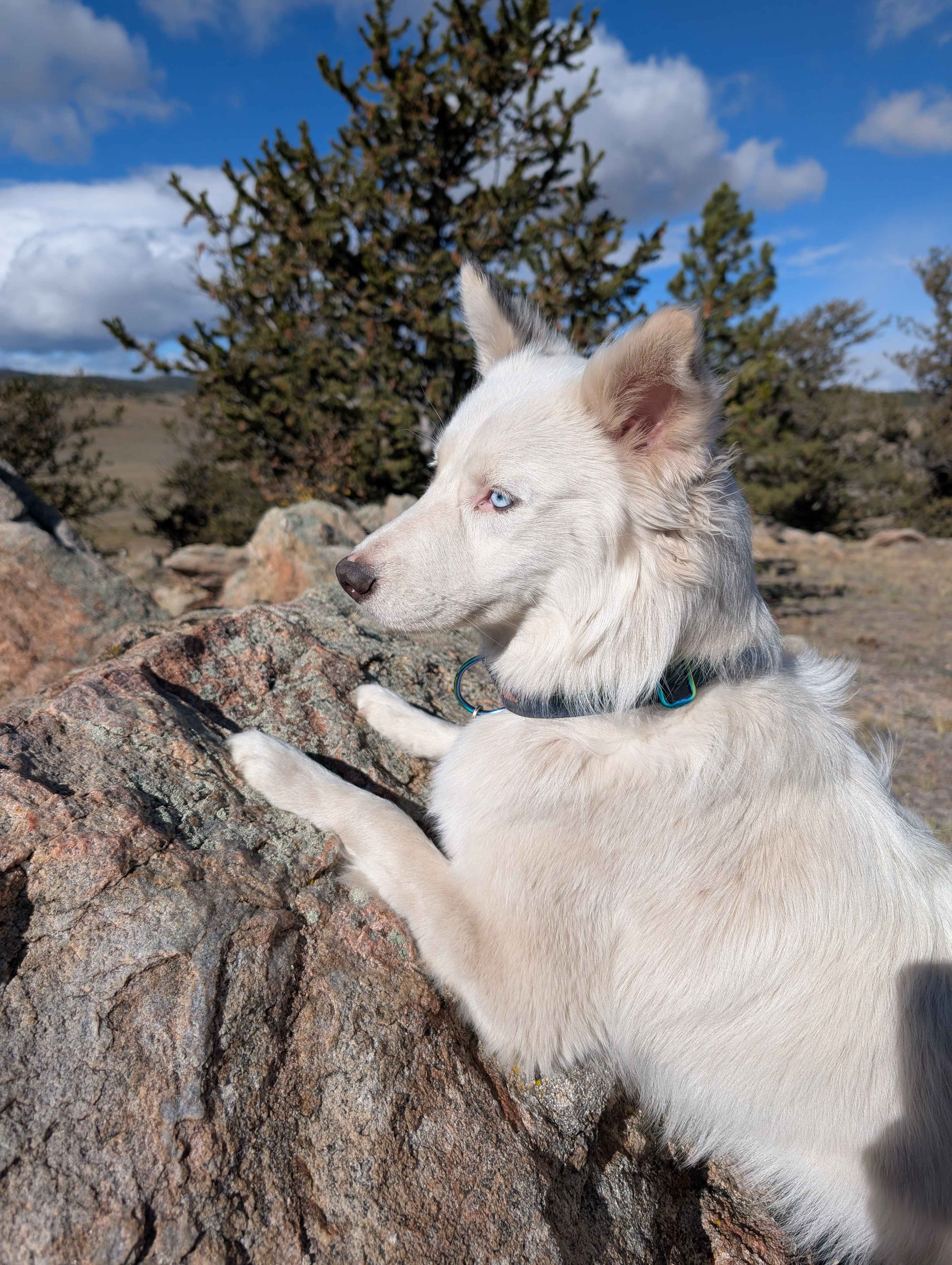 High Plains Hideaway