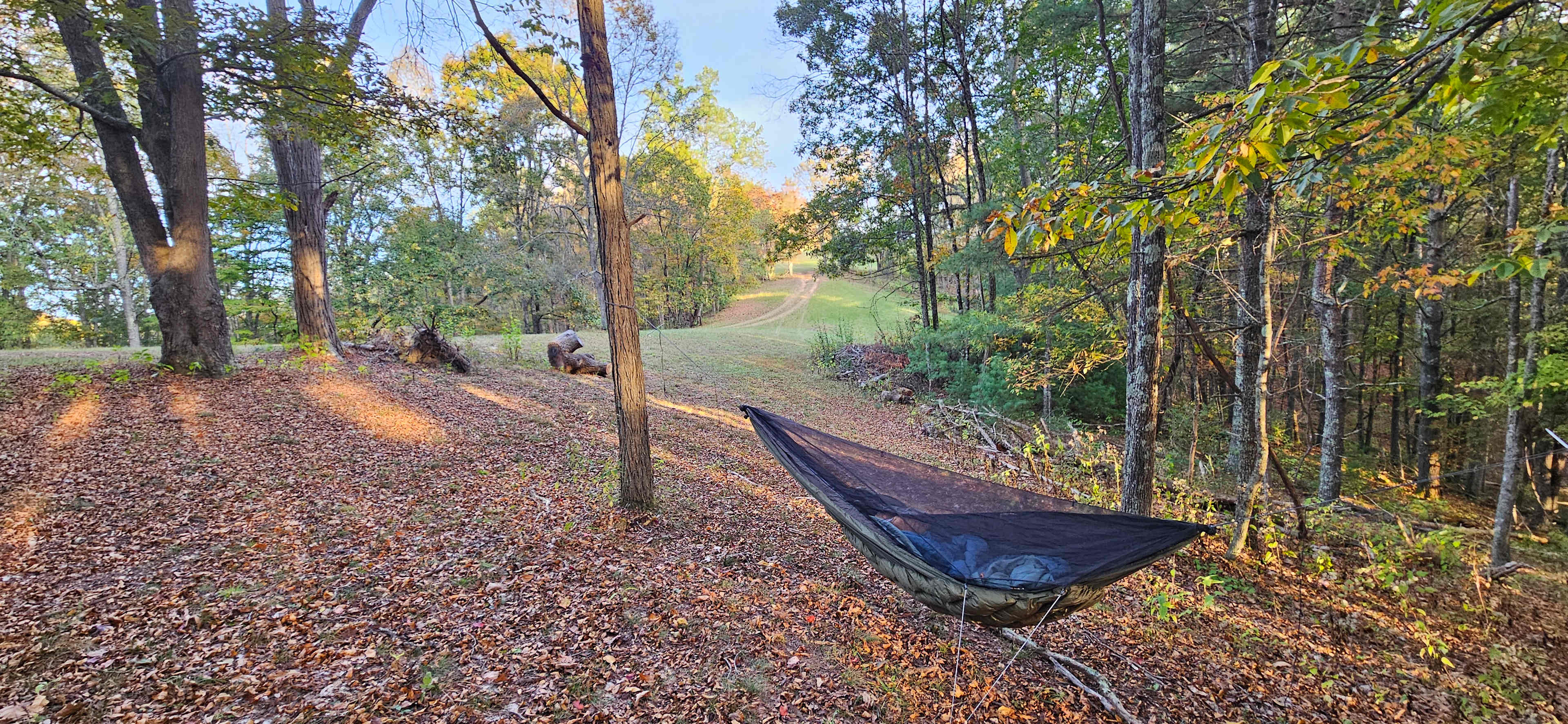 Starry Nights New River Gorge