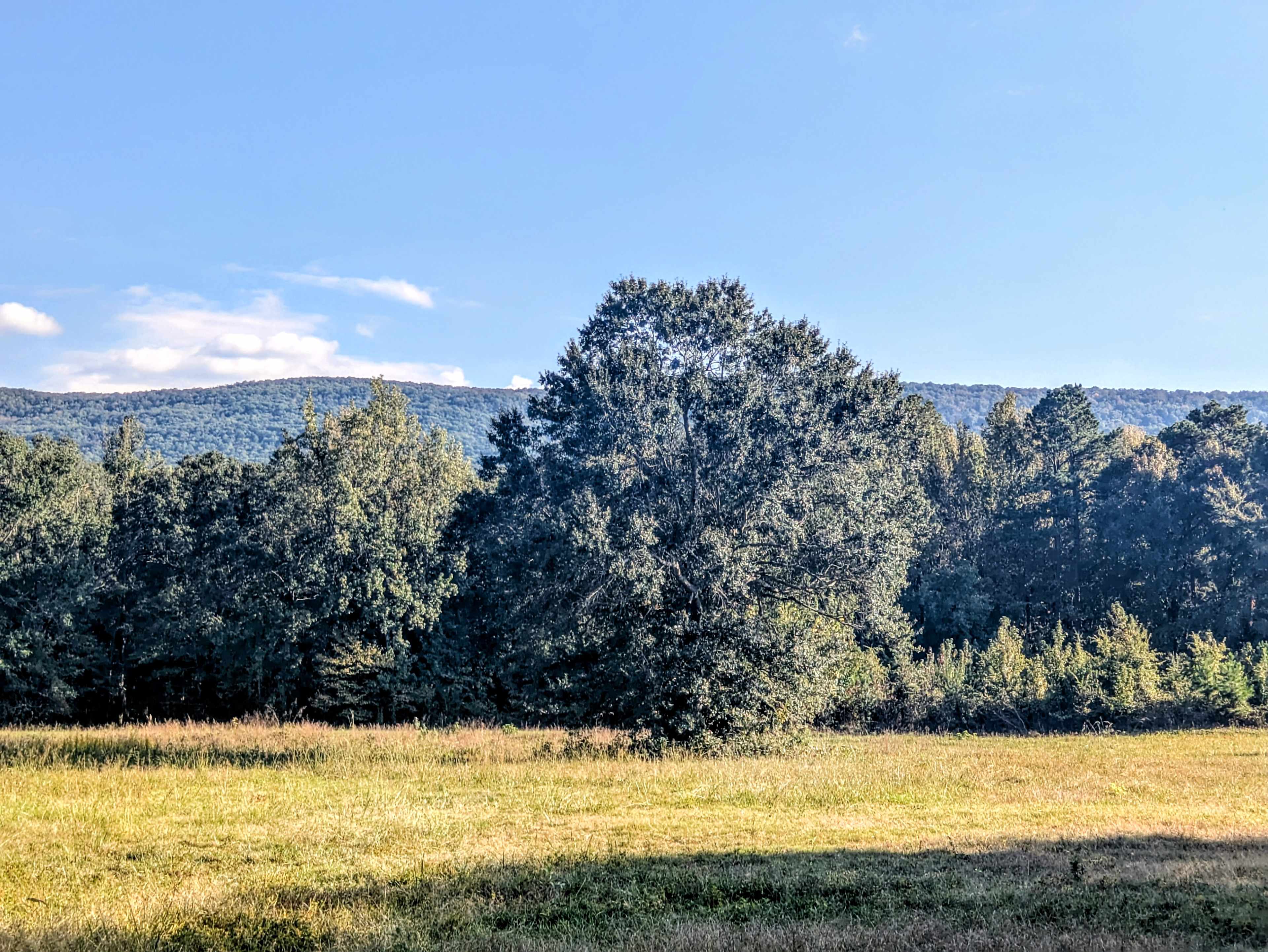 Haw Creek Outdoor Adventures