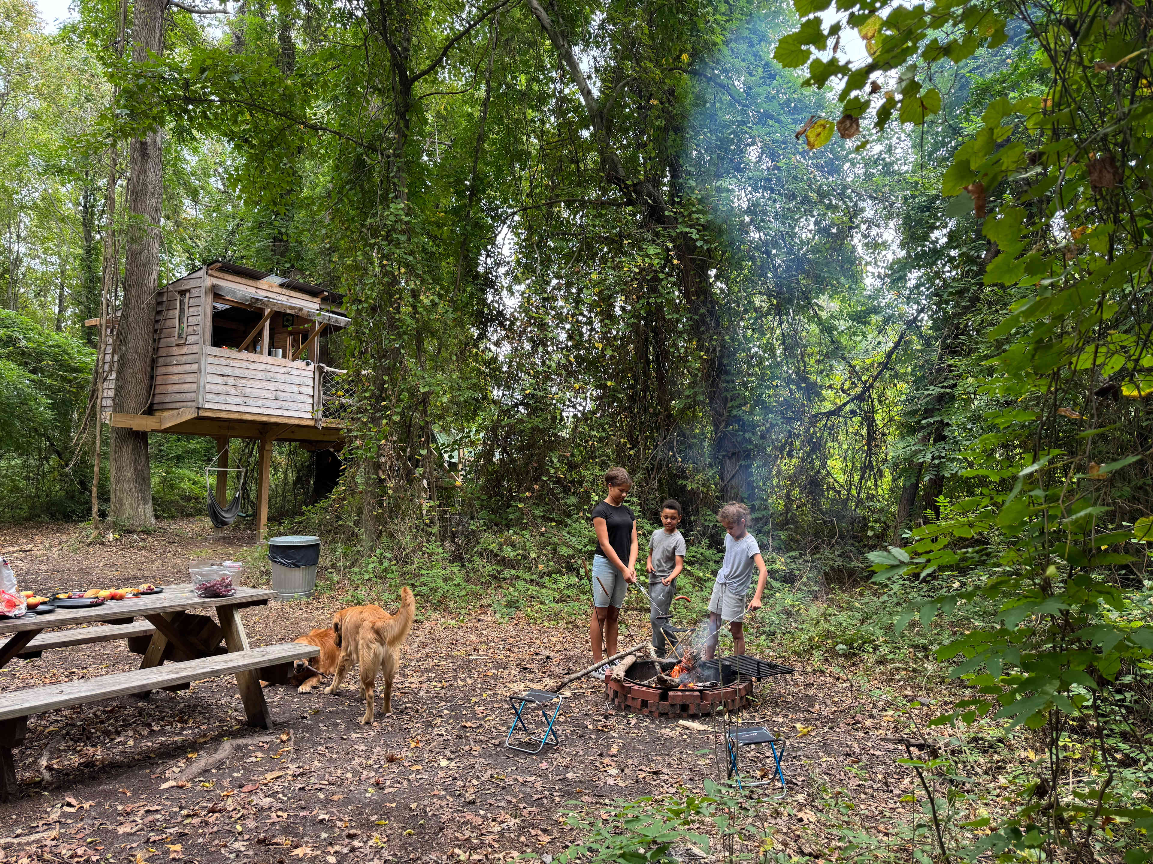 The Guinea Farm, Field, and Forest