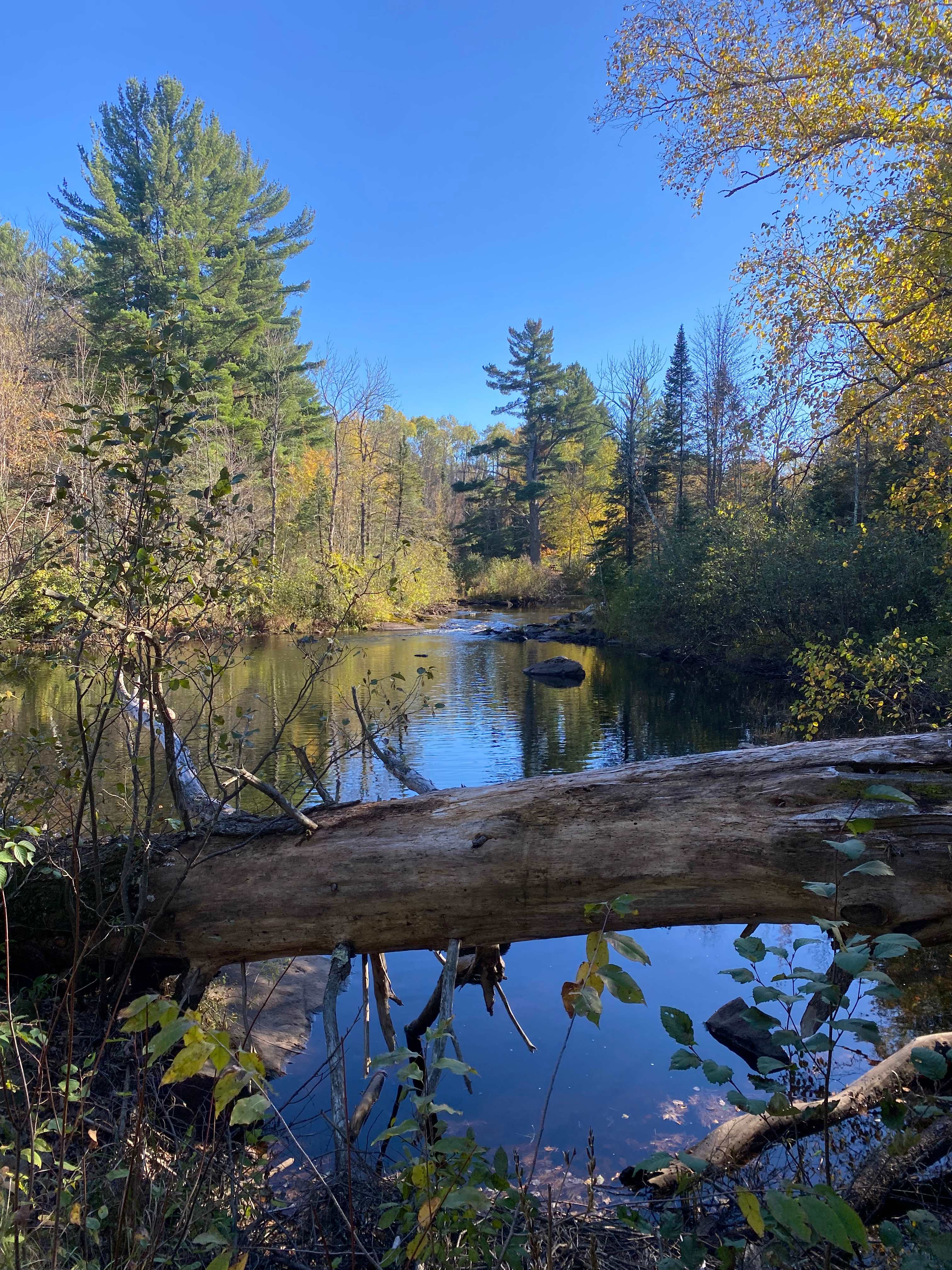 Bad River Wilderness