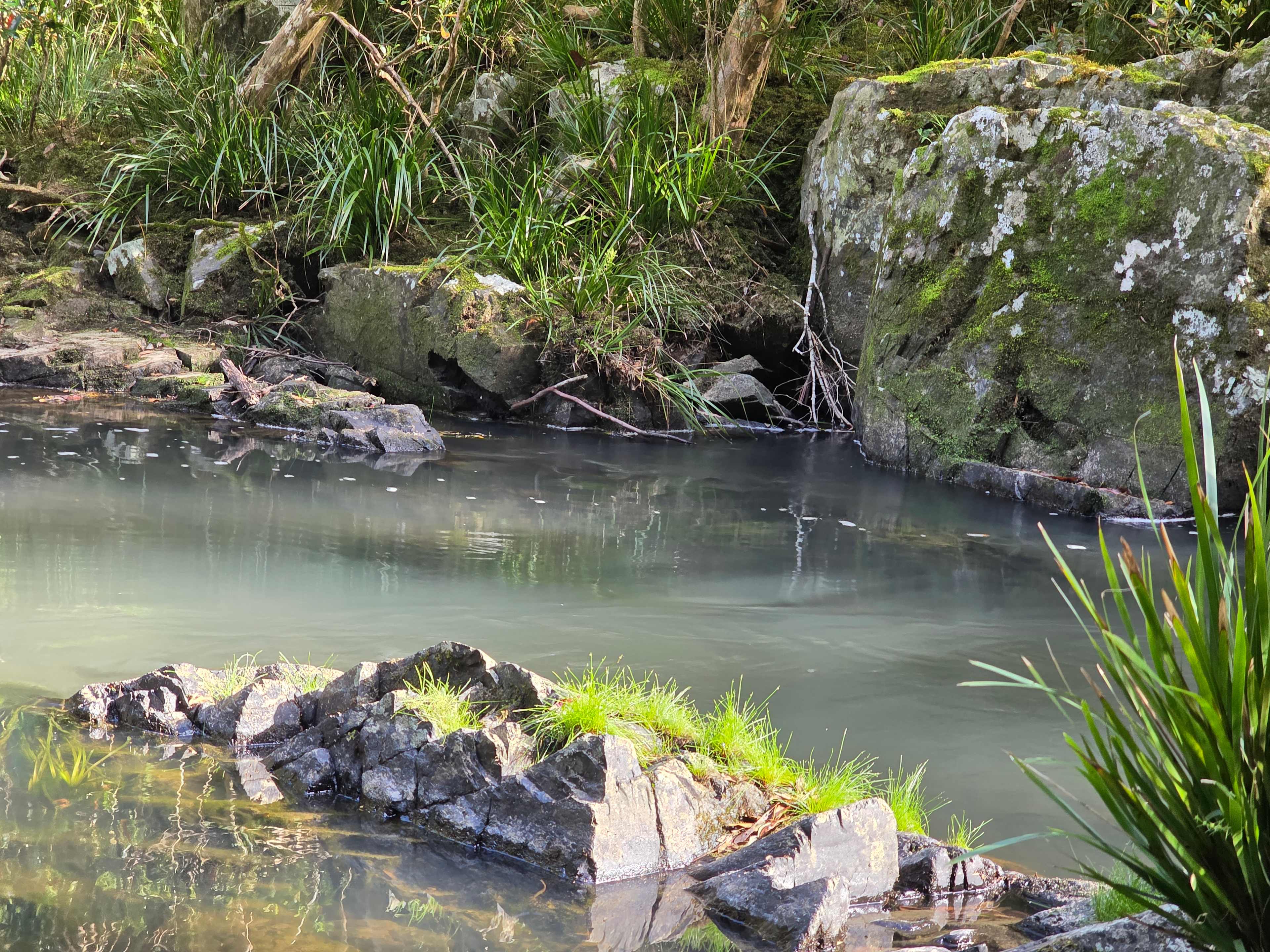 Frog Hollow on Bobo River
