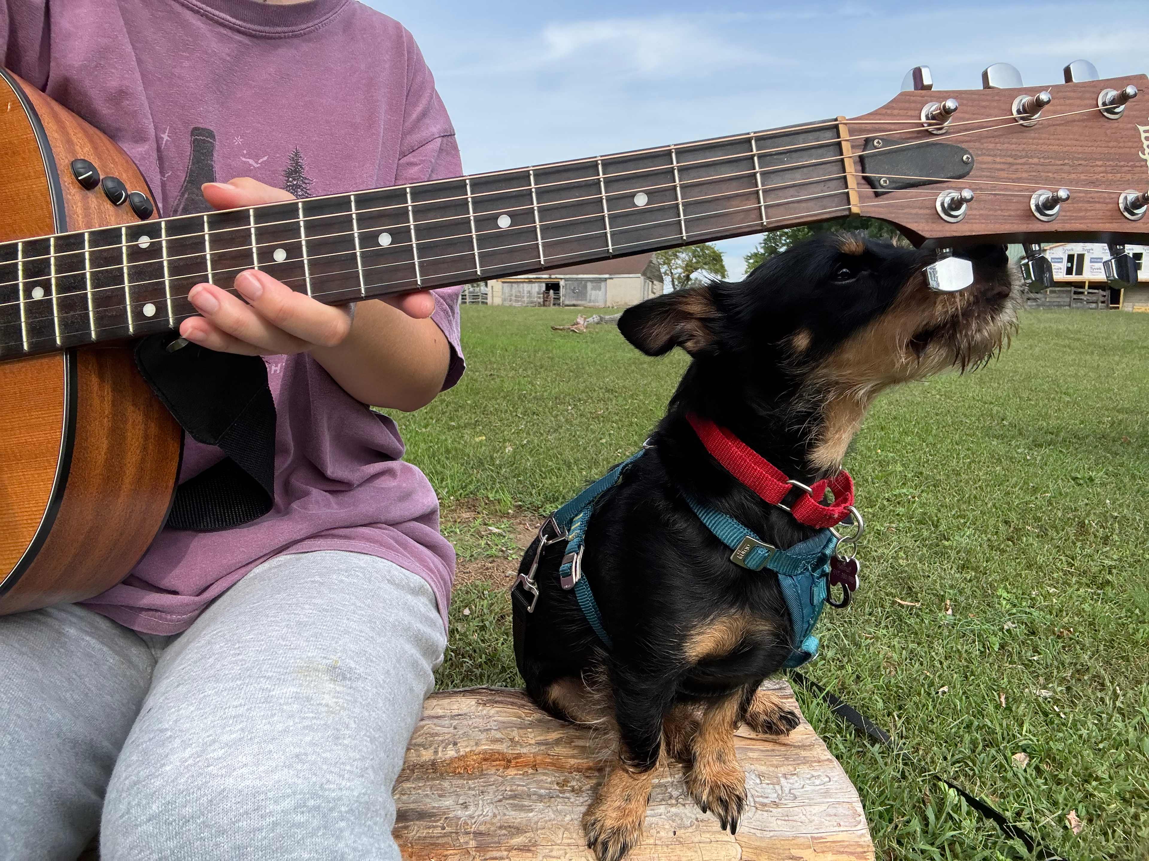 Countryside Horse Farm