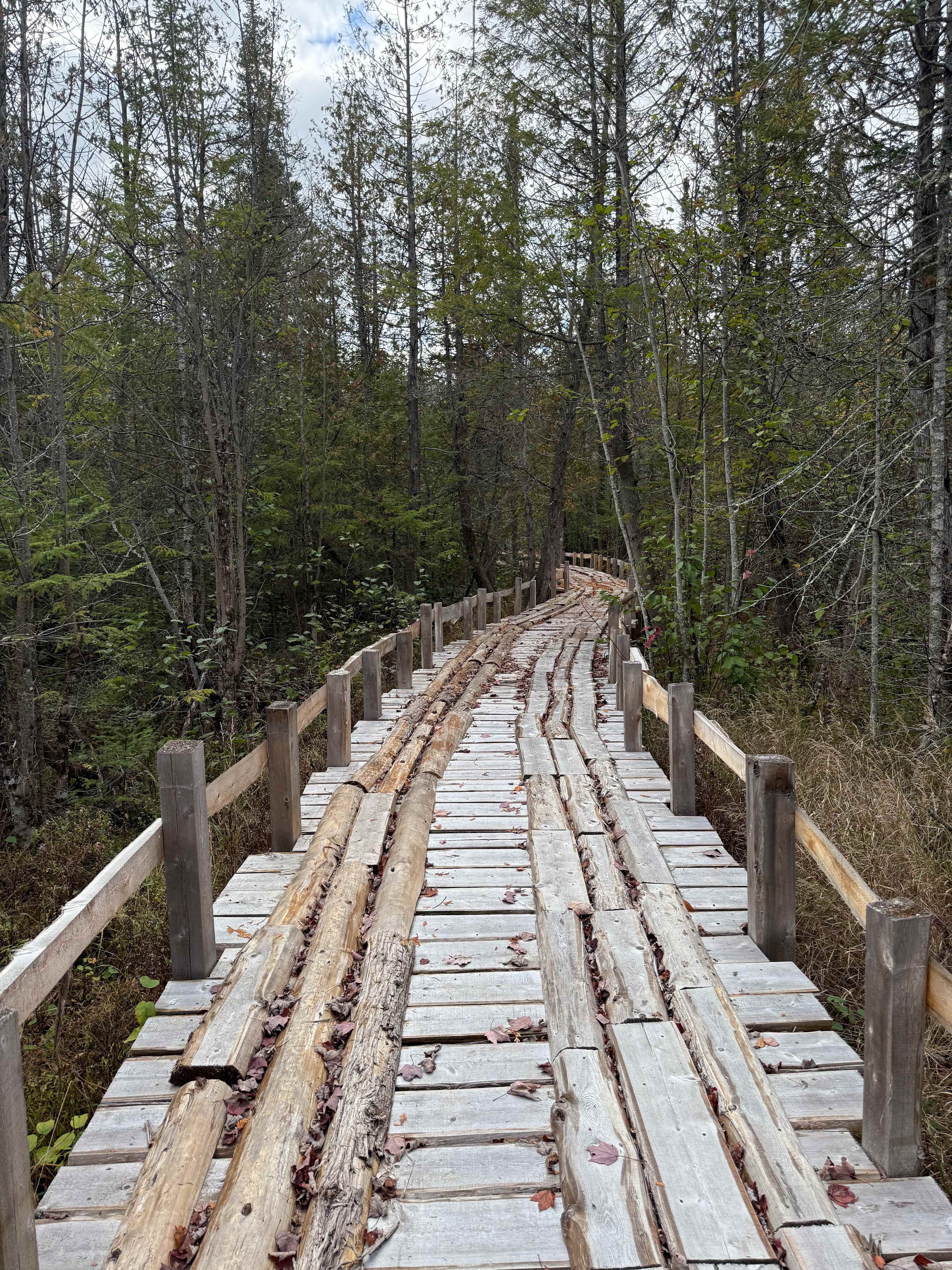 400 acres of private forest-Tent-RV