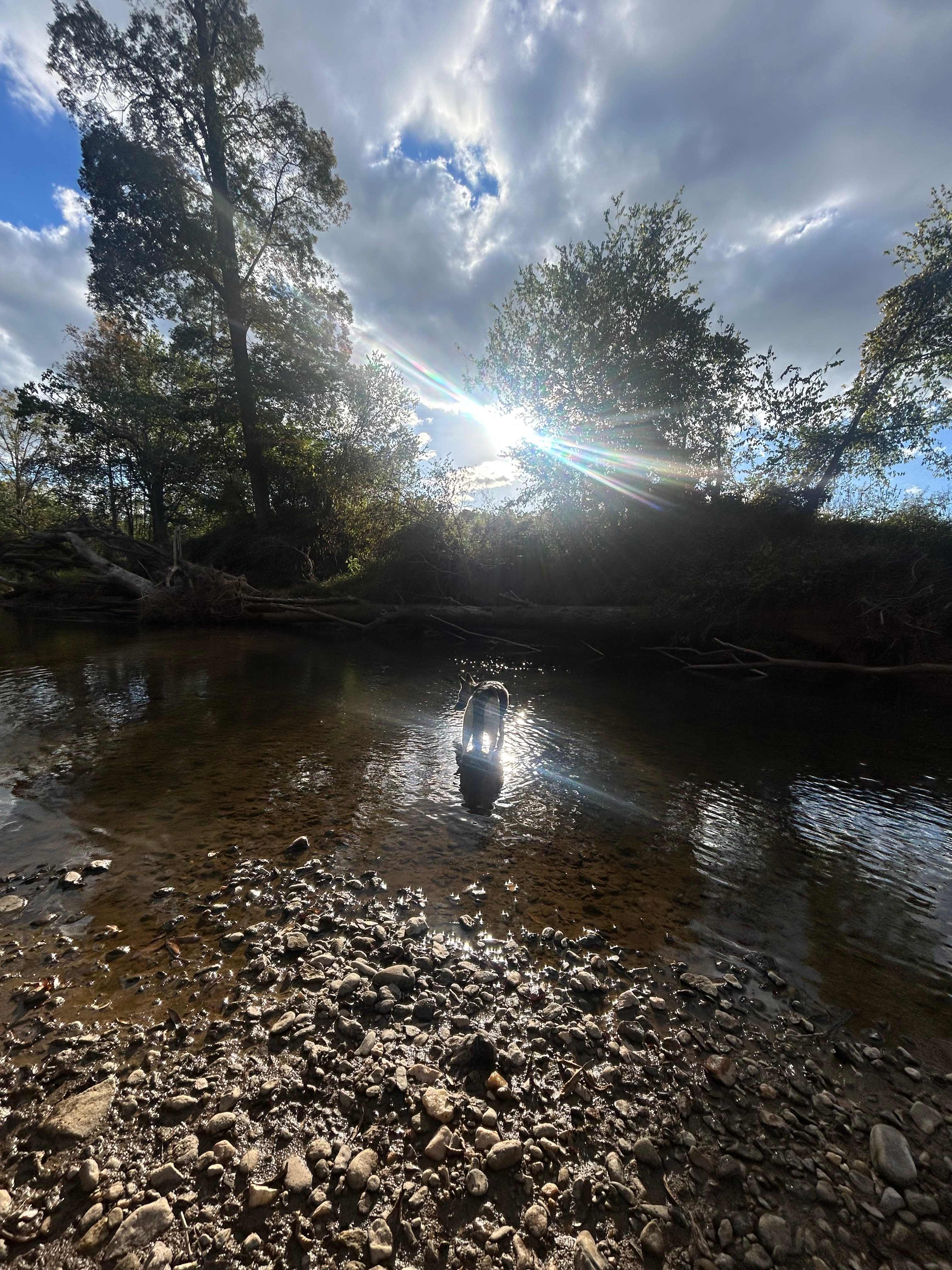 Private Paradise on Rivers Bend