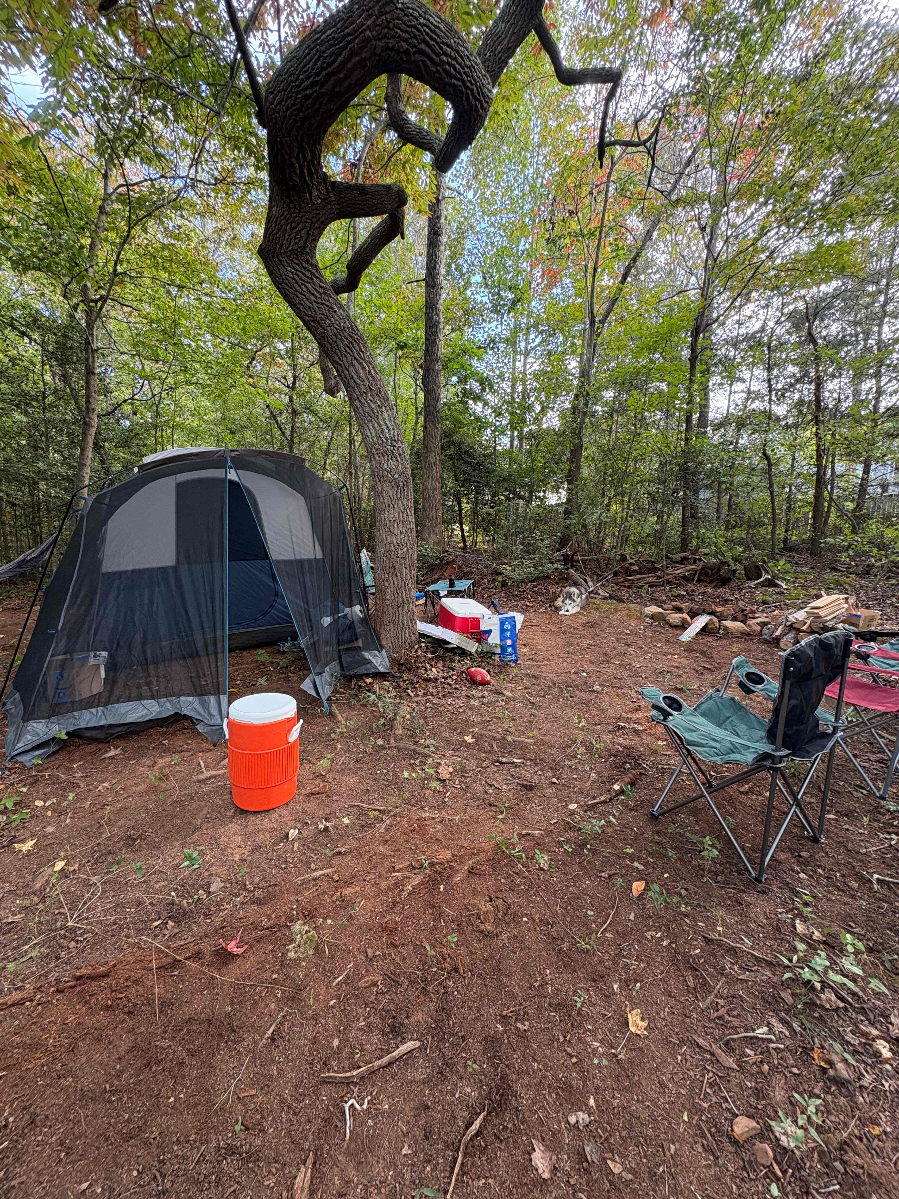 Forest & Farm Camping Retreat
