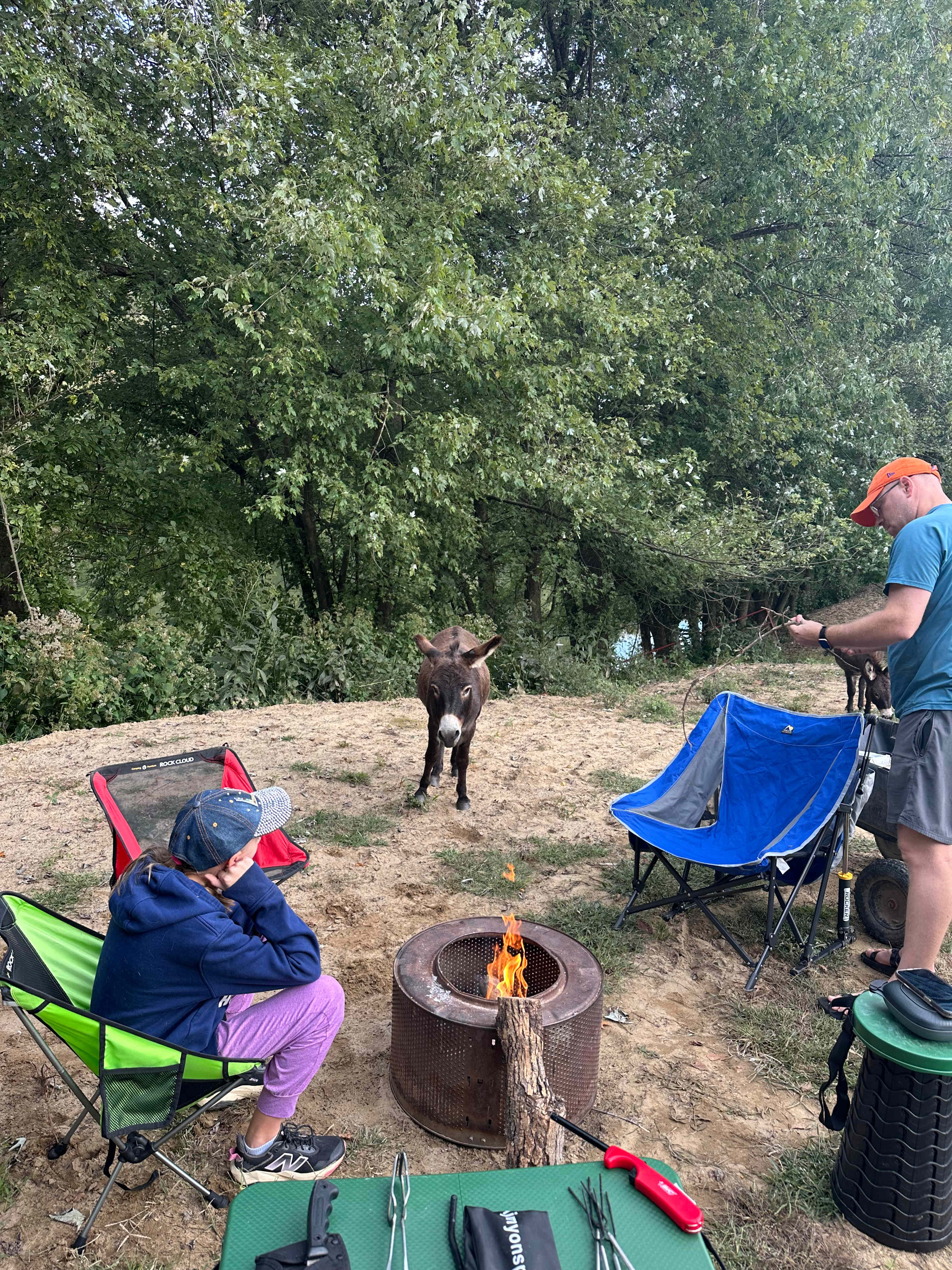 Wildcat Creek Farm in Tyrone