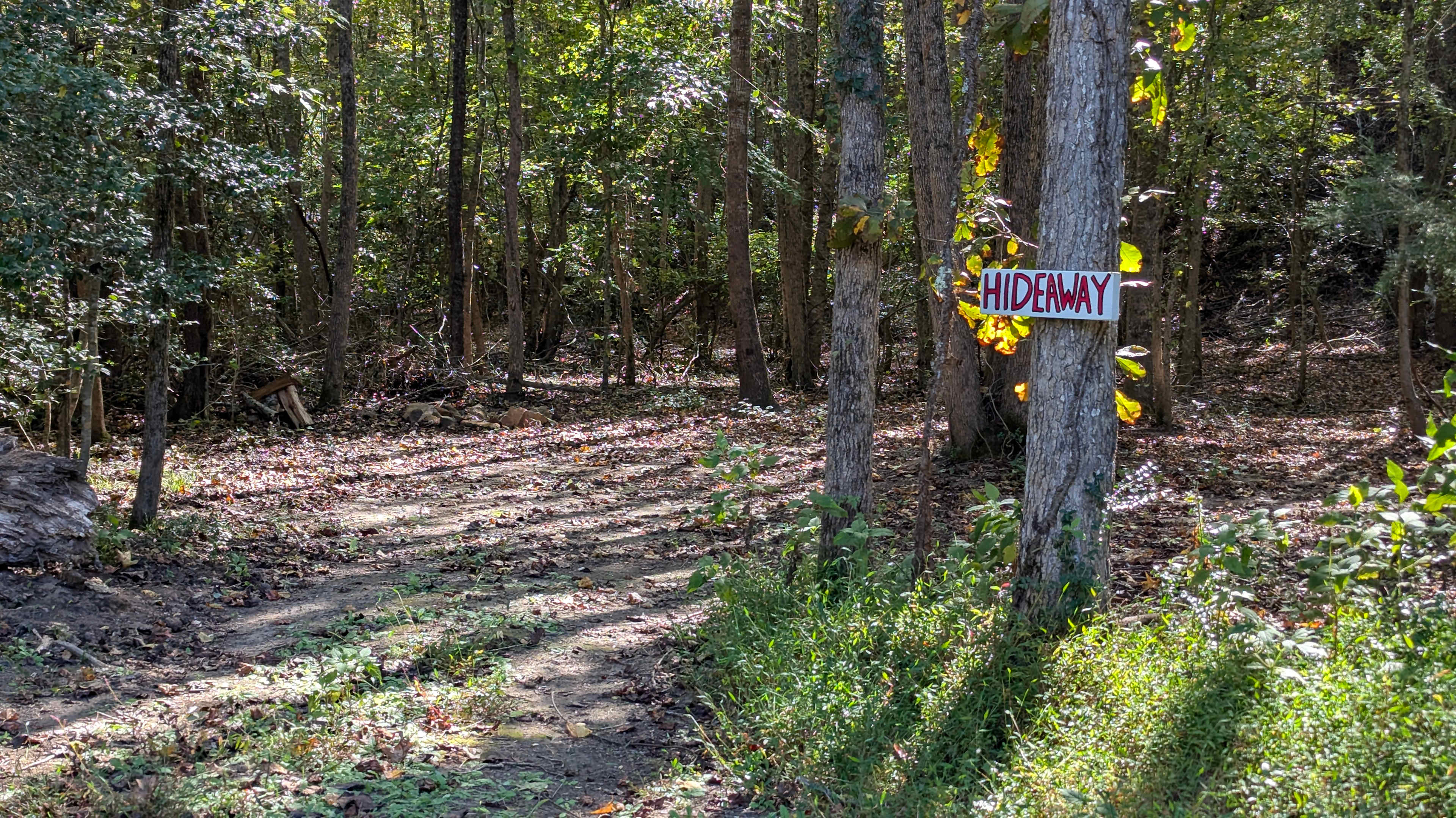 Serenity on the Saluda