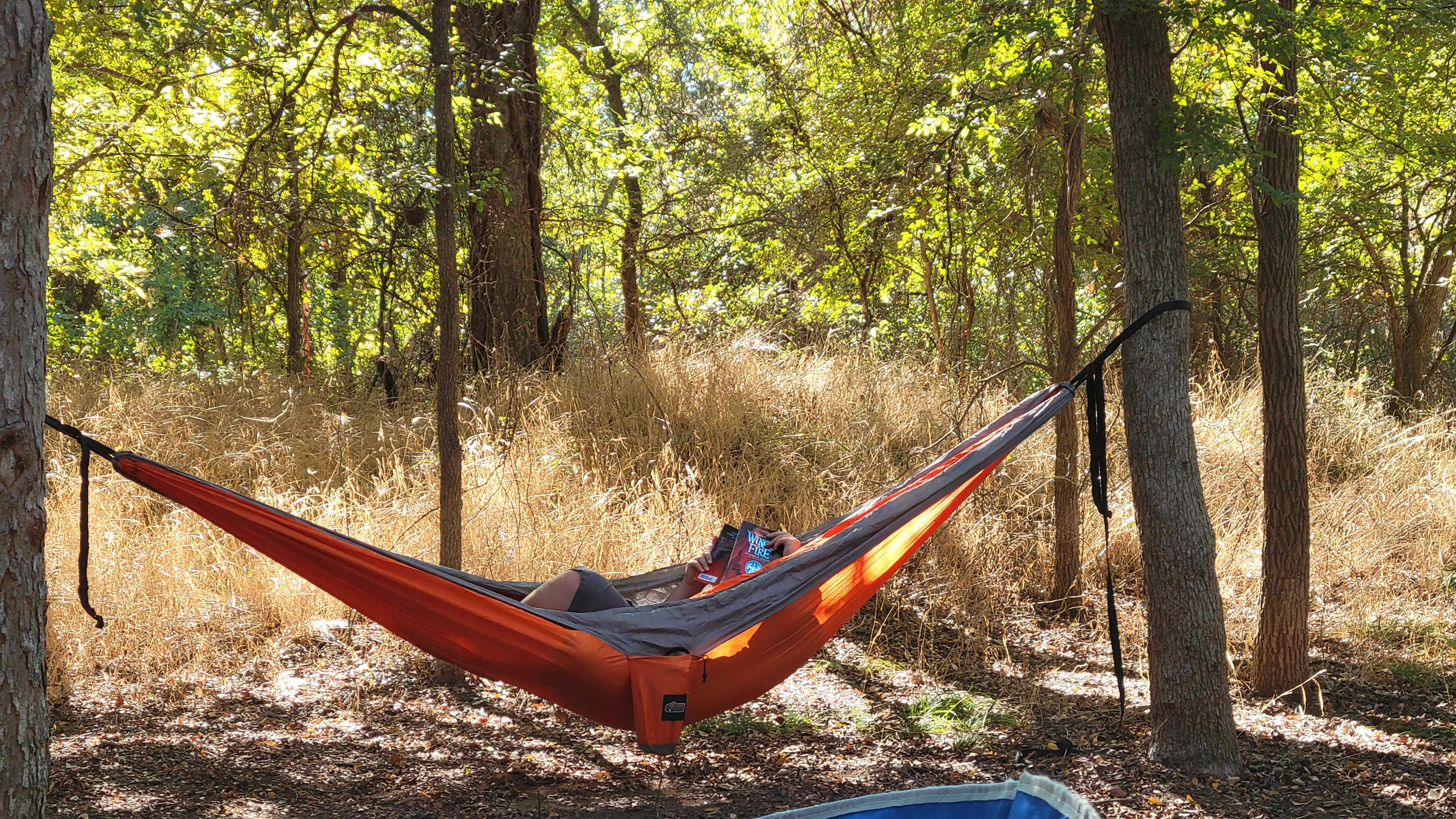 Perfect for reading! 