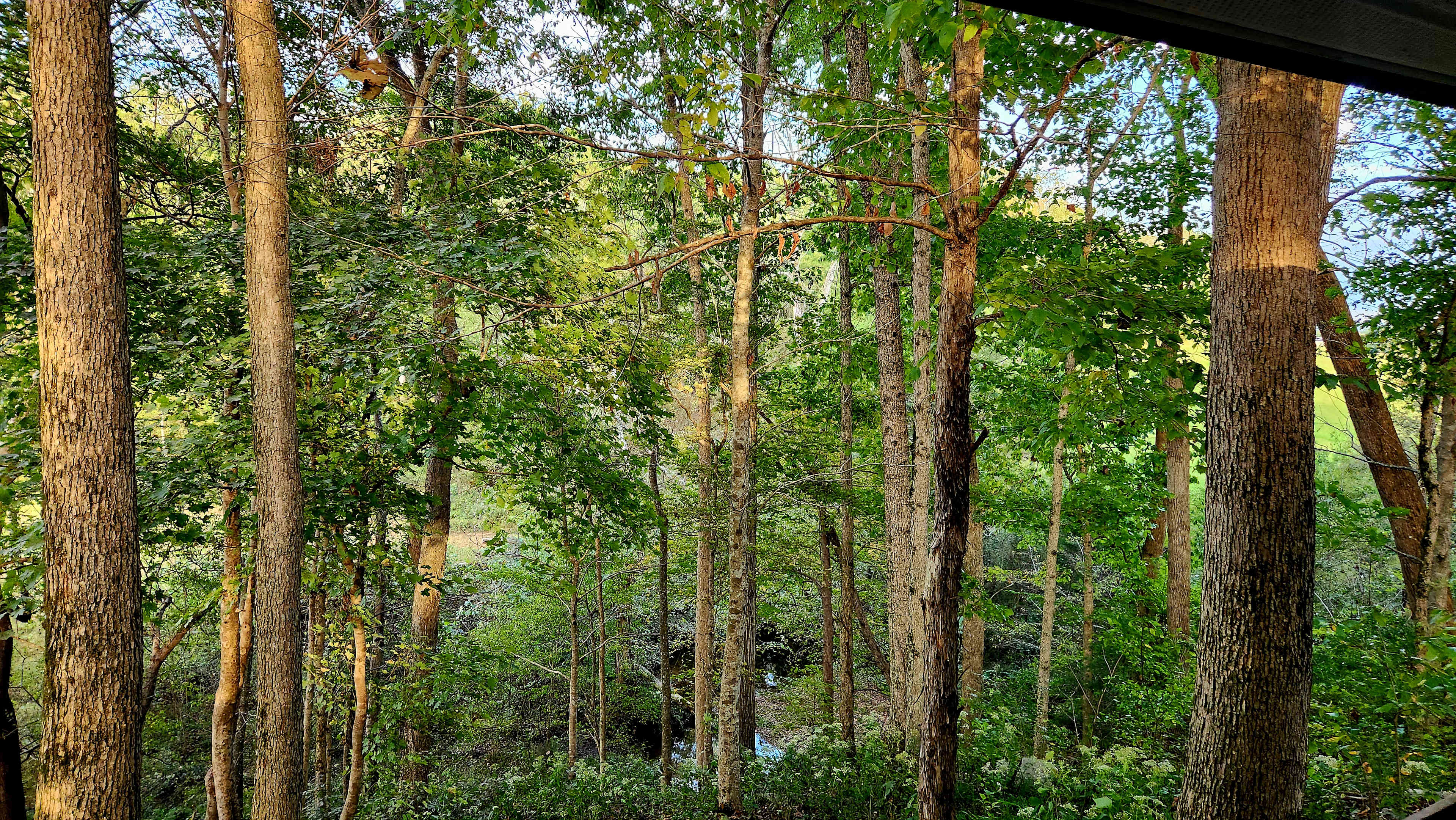 View from the seating area.