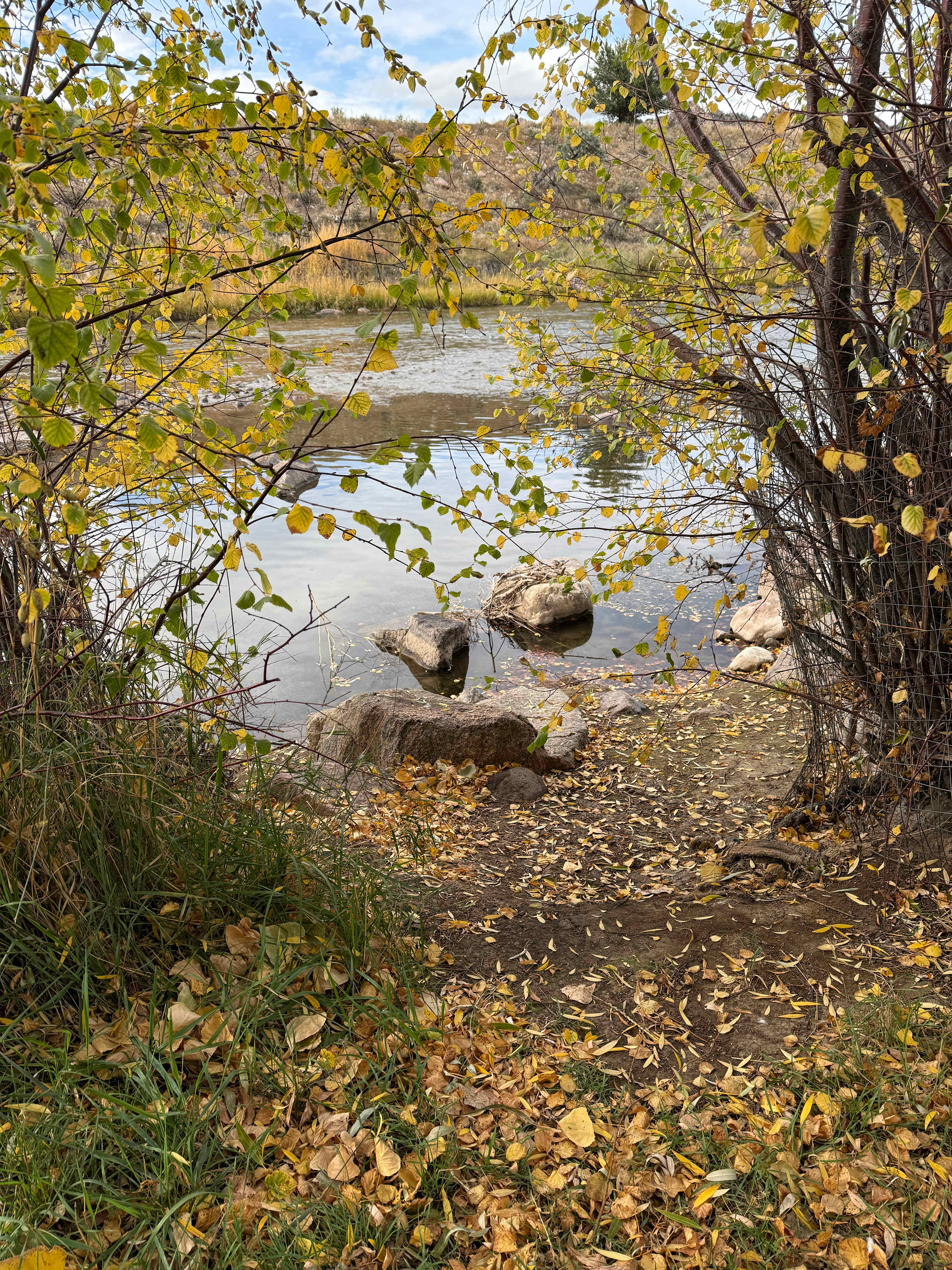 Right outside the cabin!