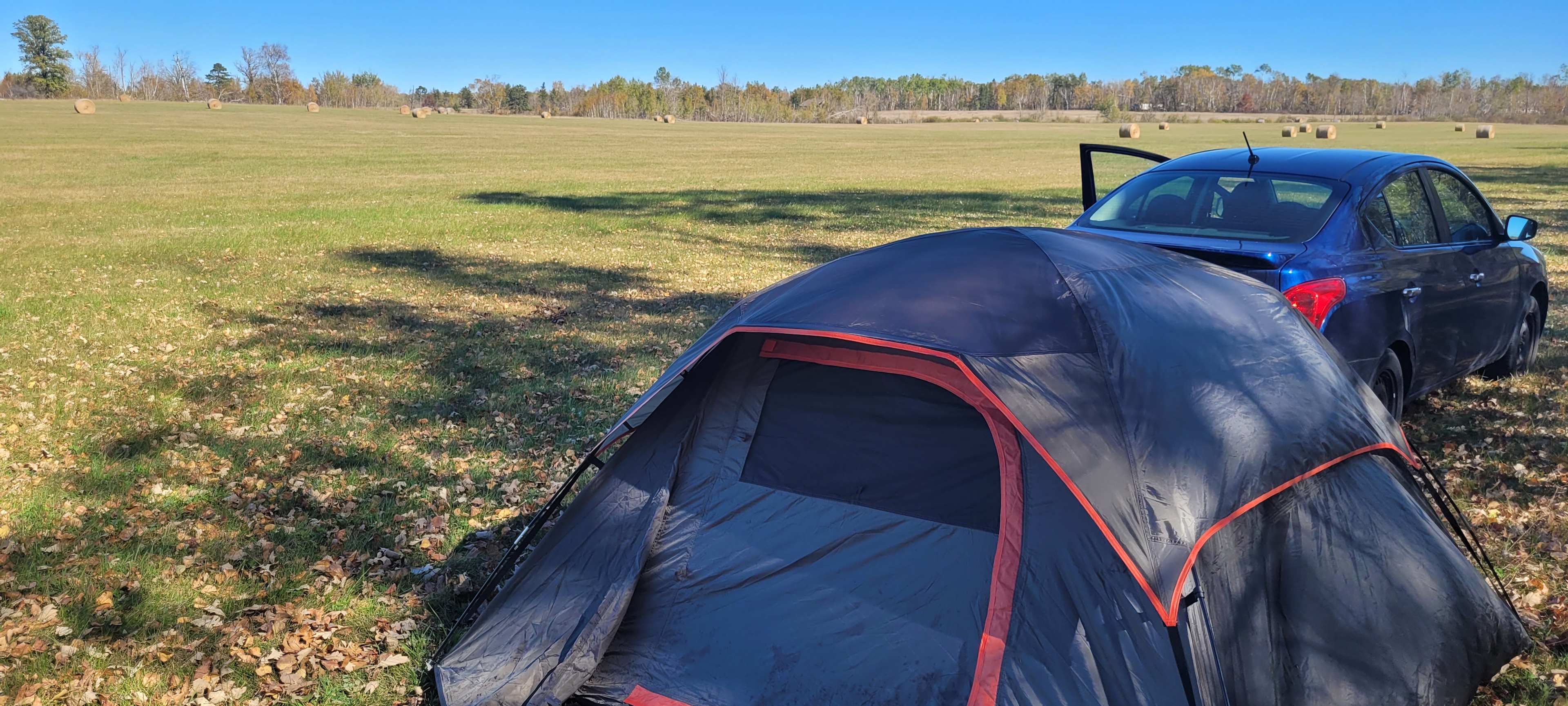 I Live in the Country